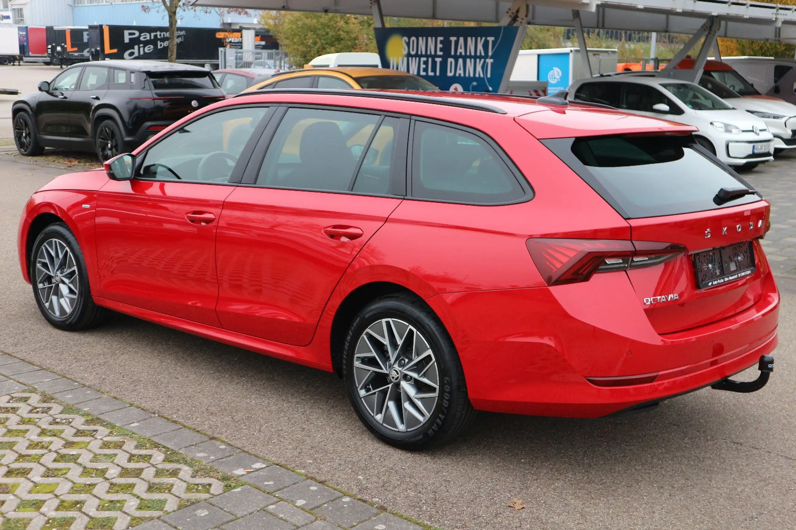 Skoda - Octavia