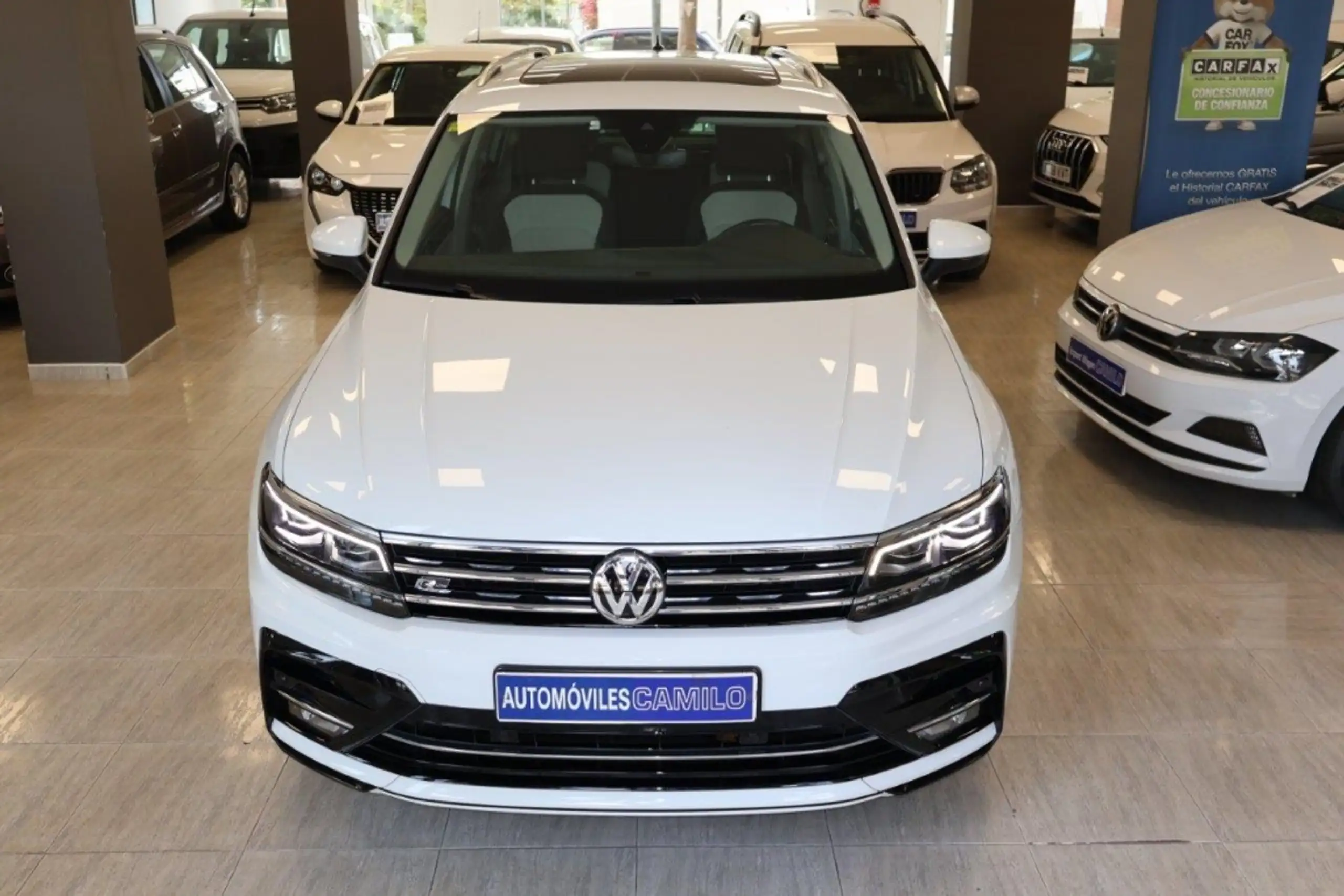 Volkswagen - Tiguan