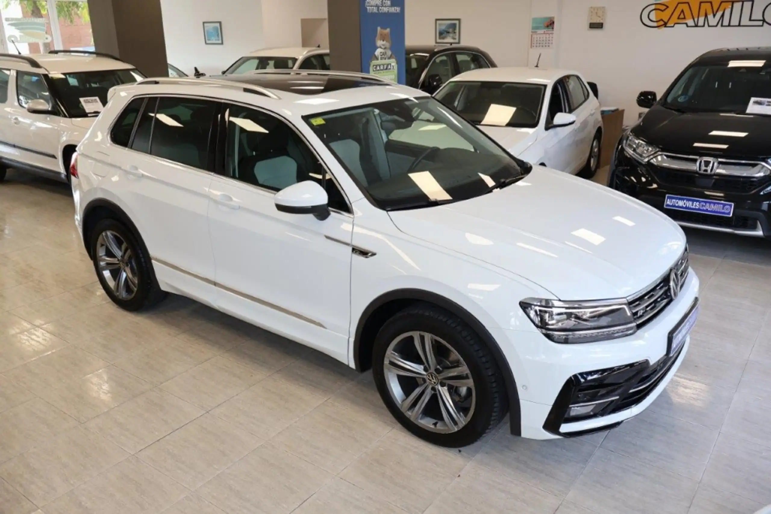 Volkswagen - Tiguan