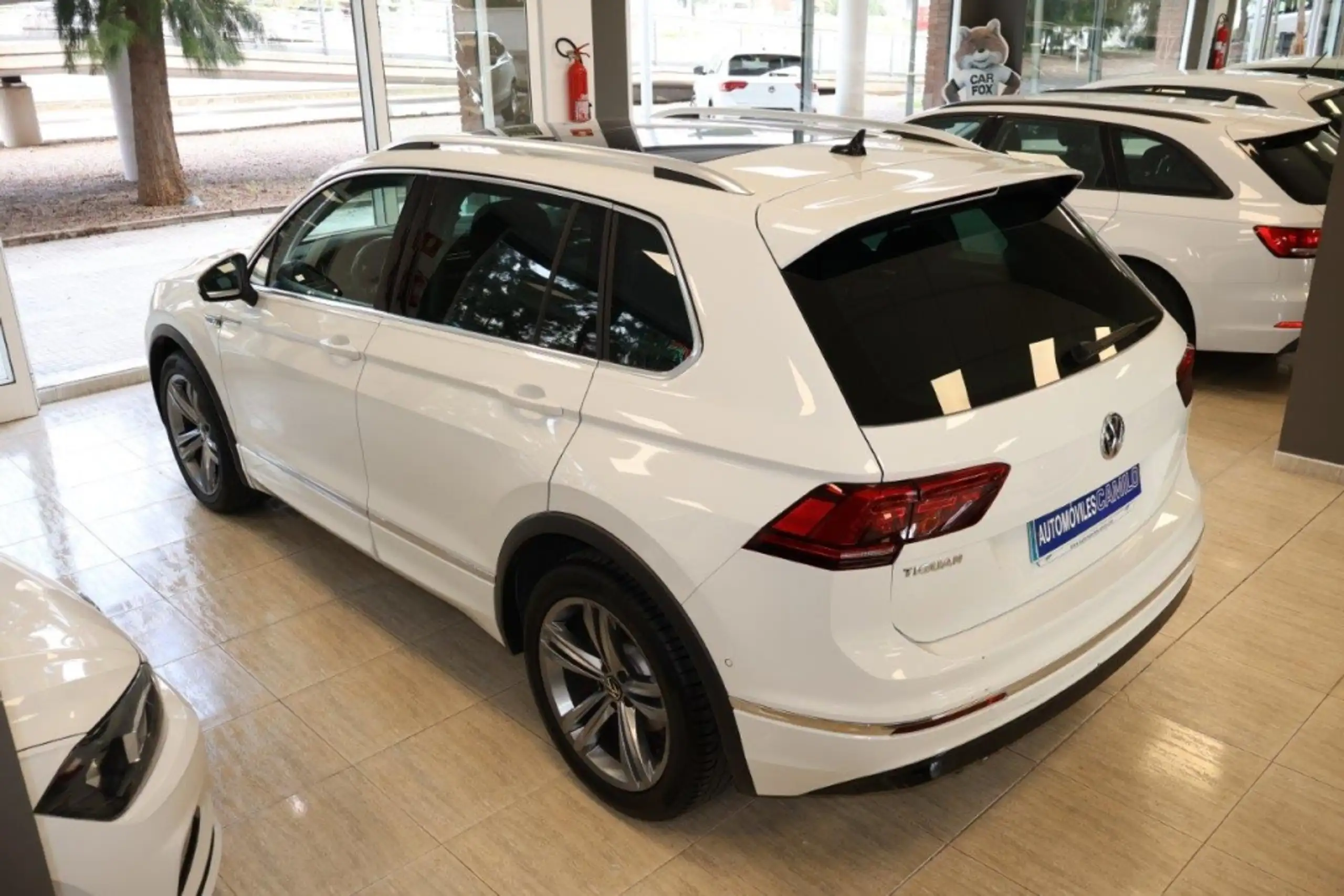 Volkswagen - Tiguan