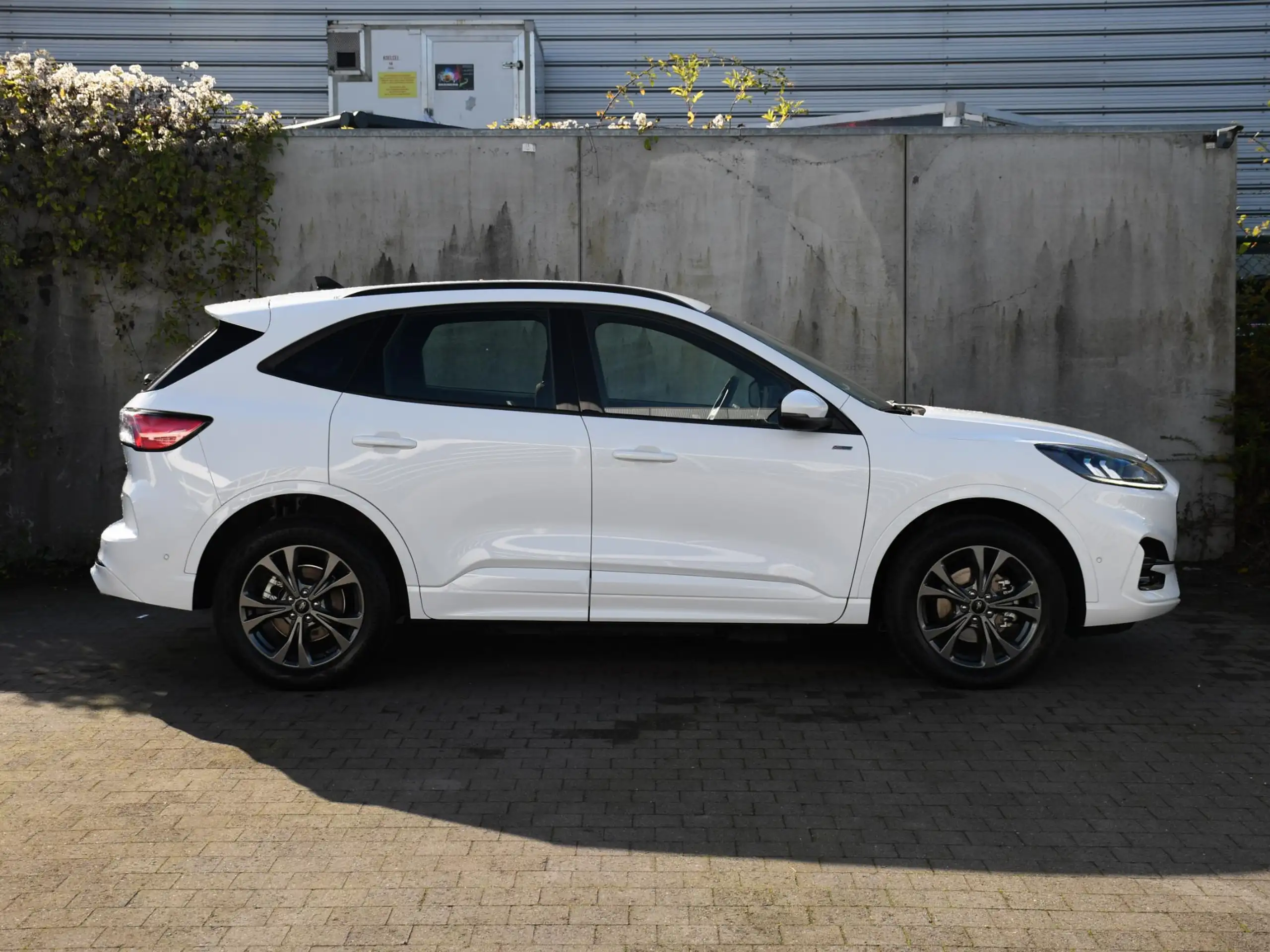 Ford - Kuga