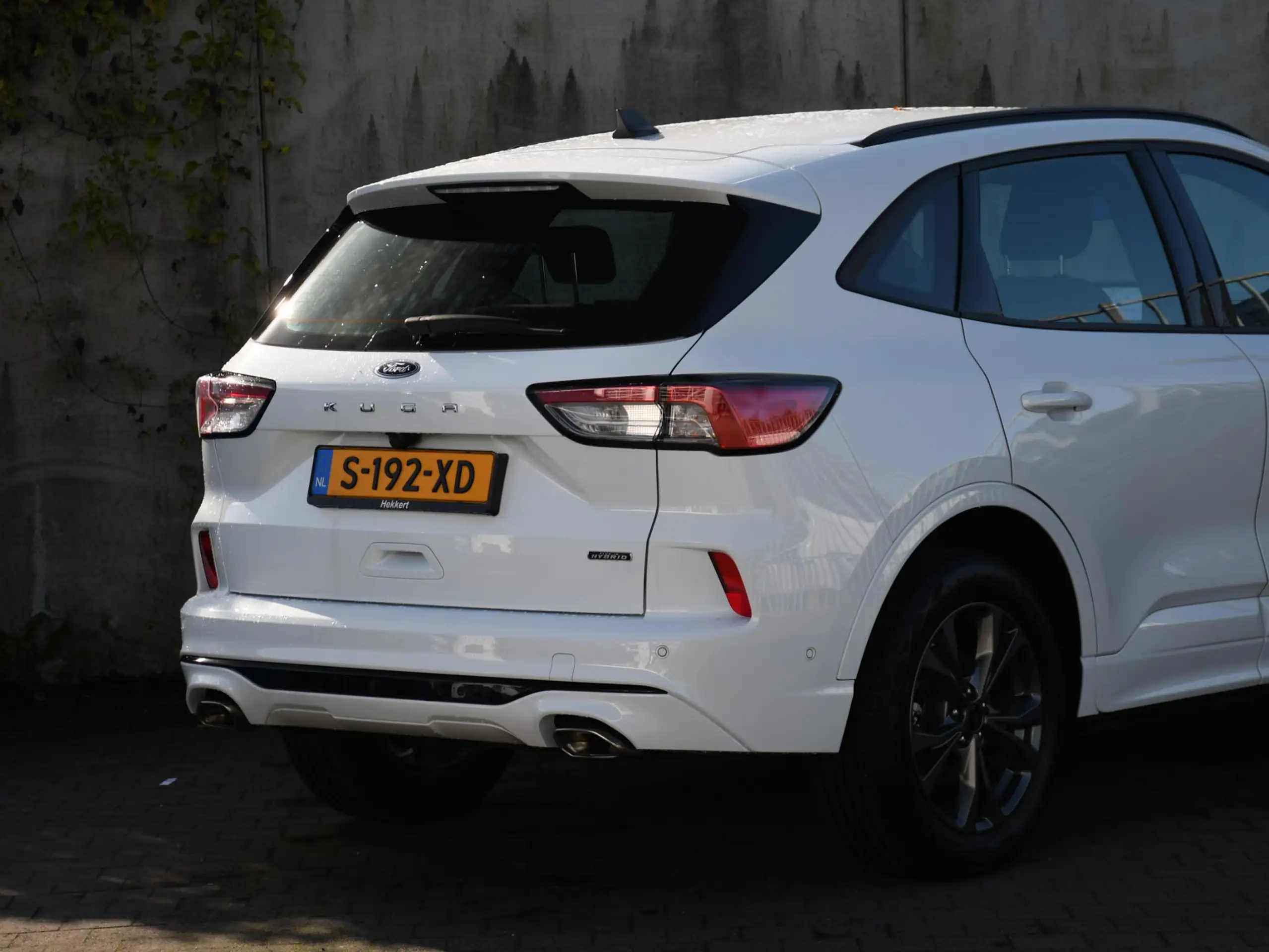 Ford - Kuga