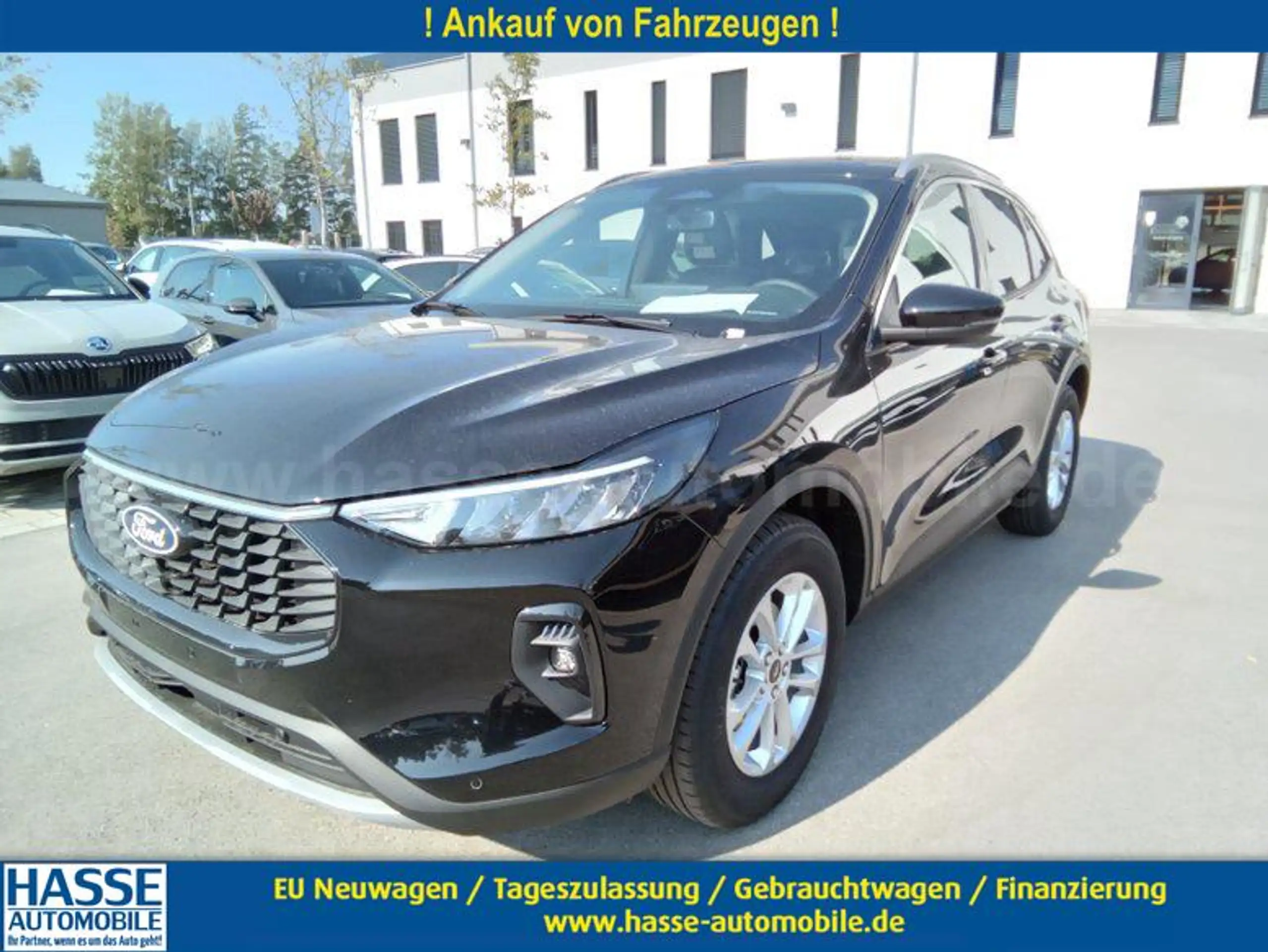 Ford - Kuga