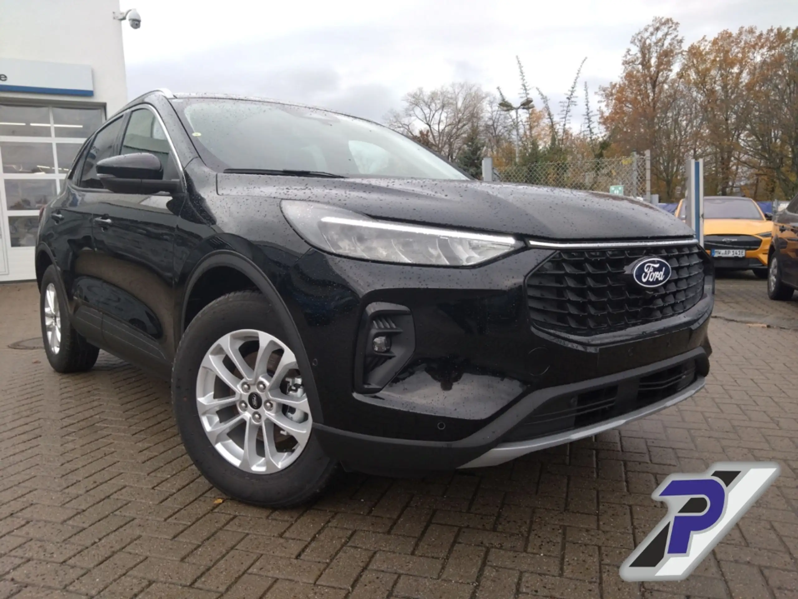 Ford - Kuga