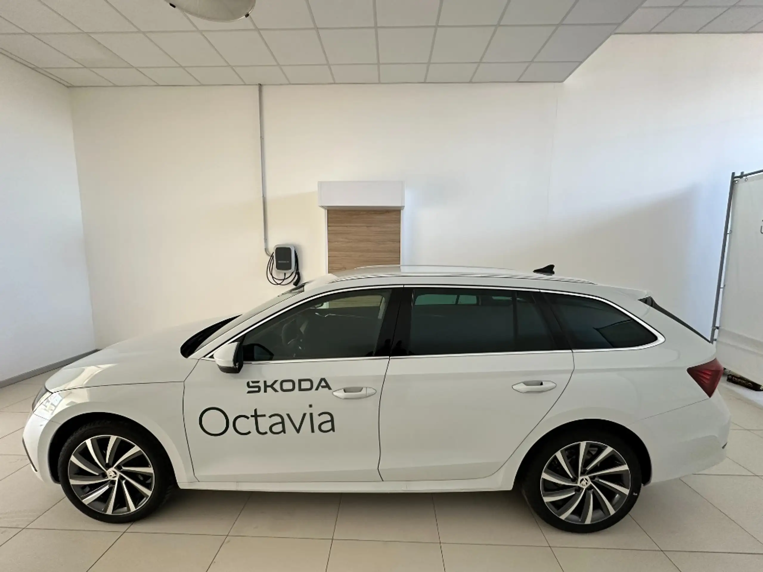 Skoda - Octavia