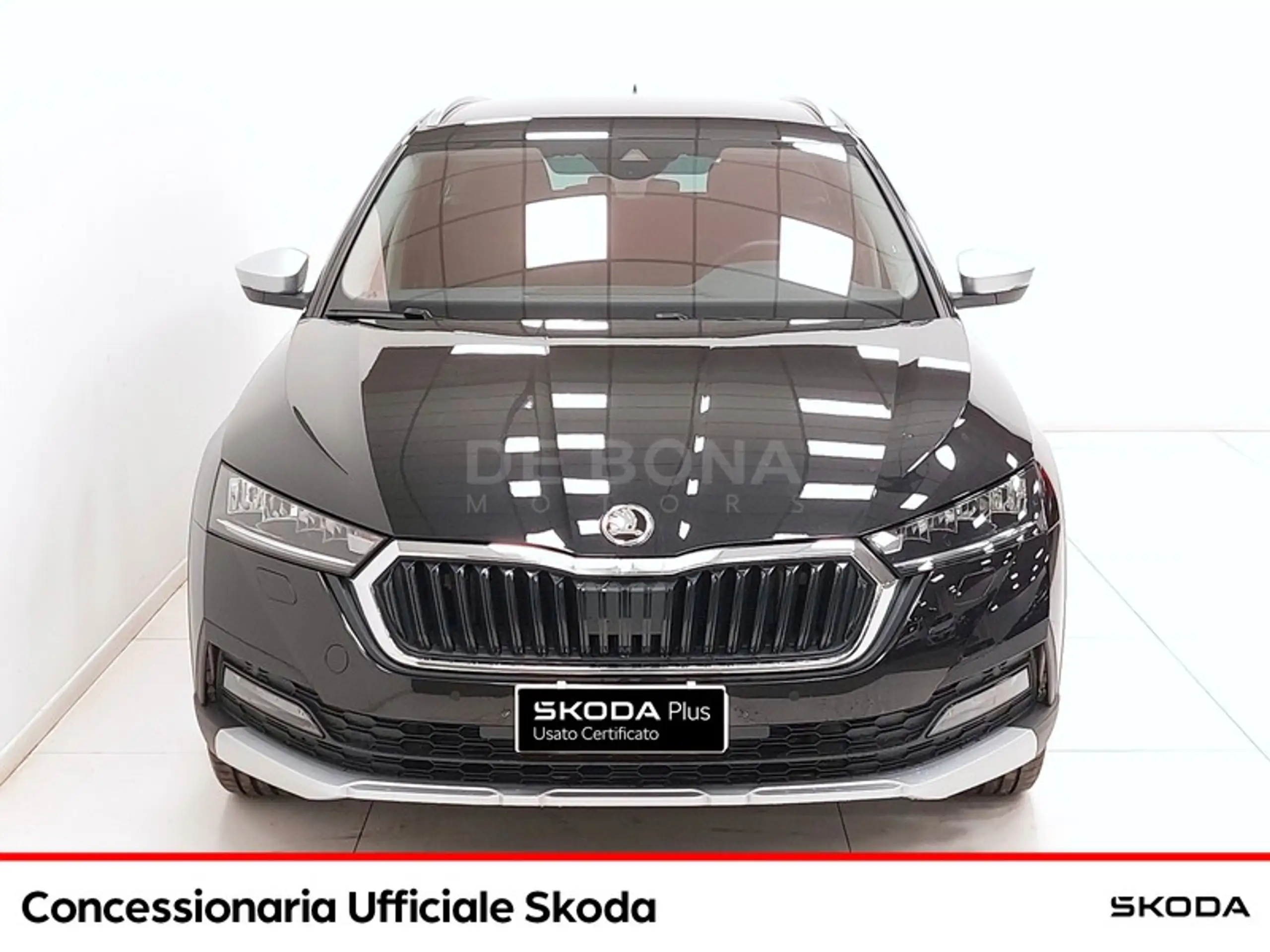 Skoda - Octavia