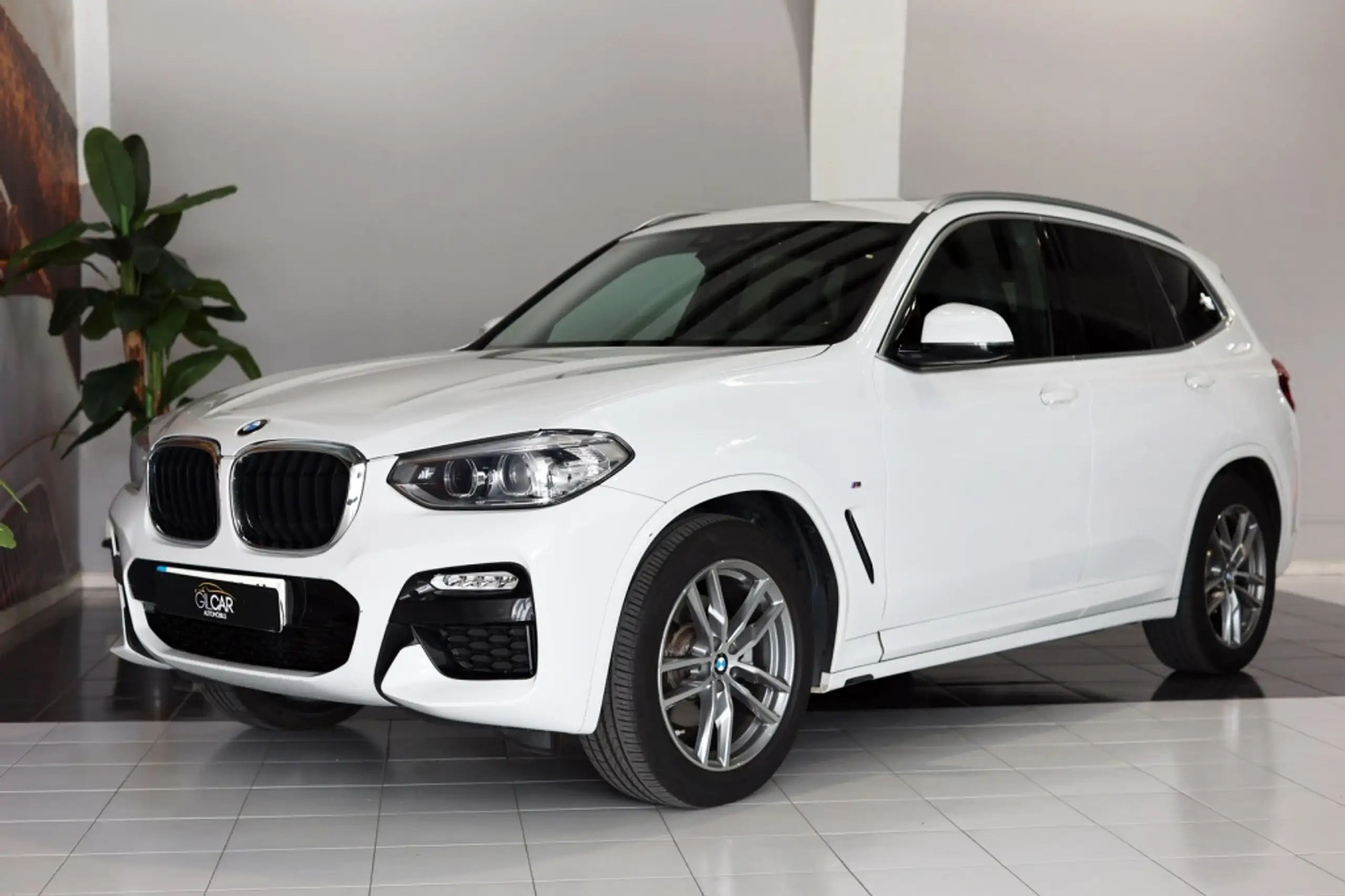 BMW - X3