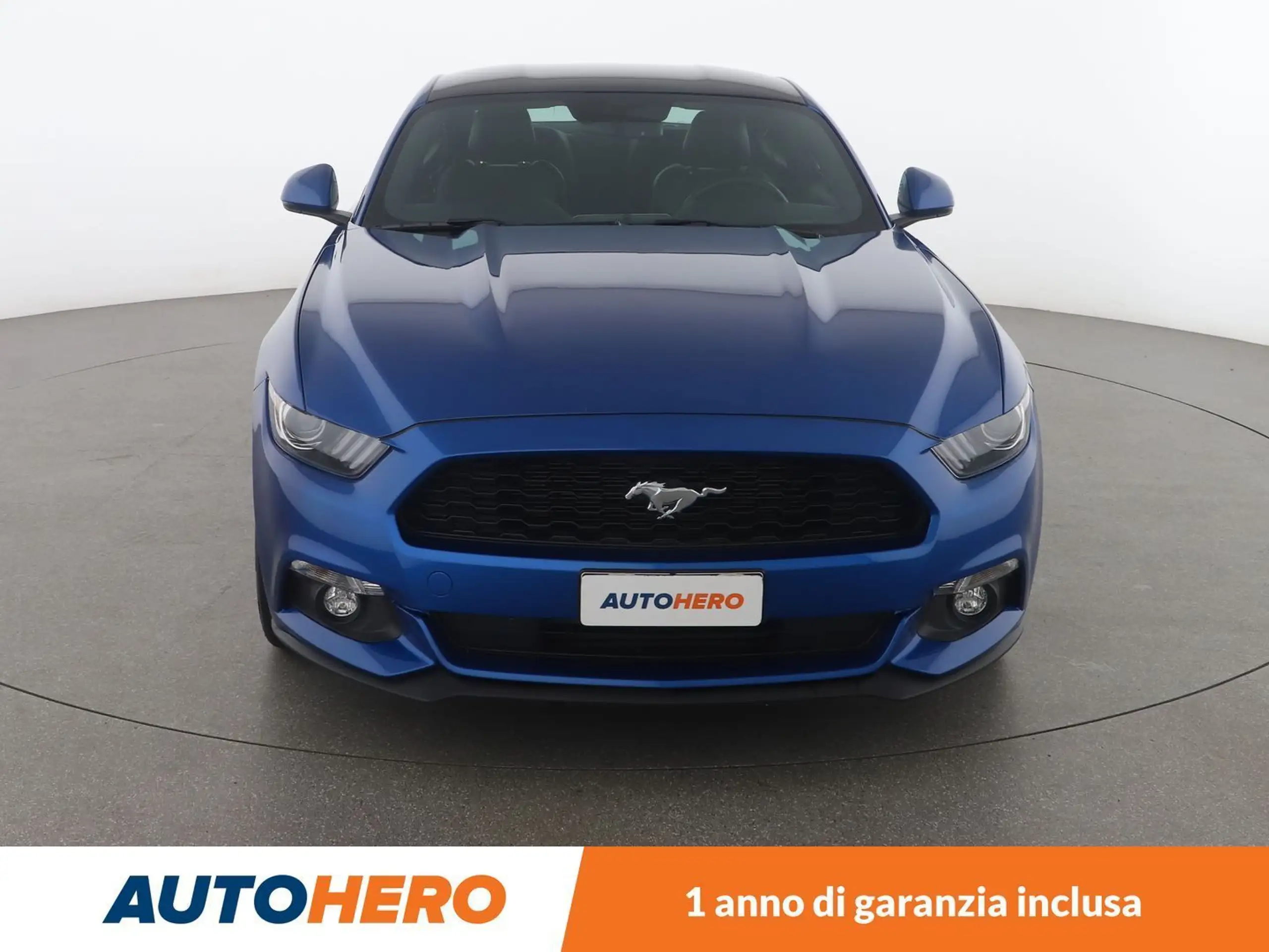 Ford - Mustang