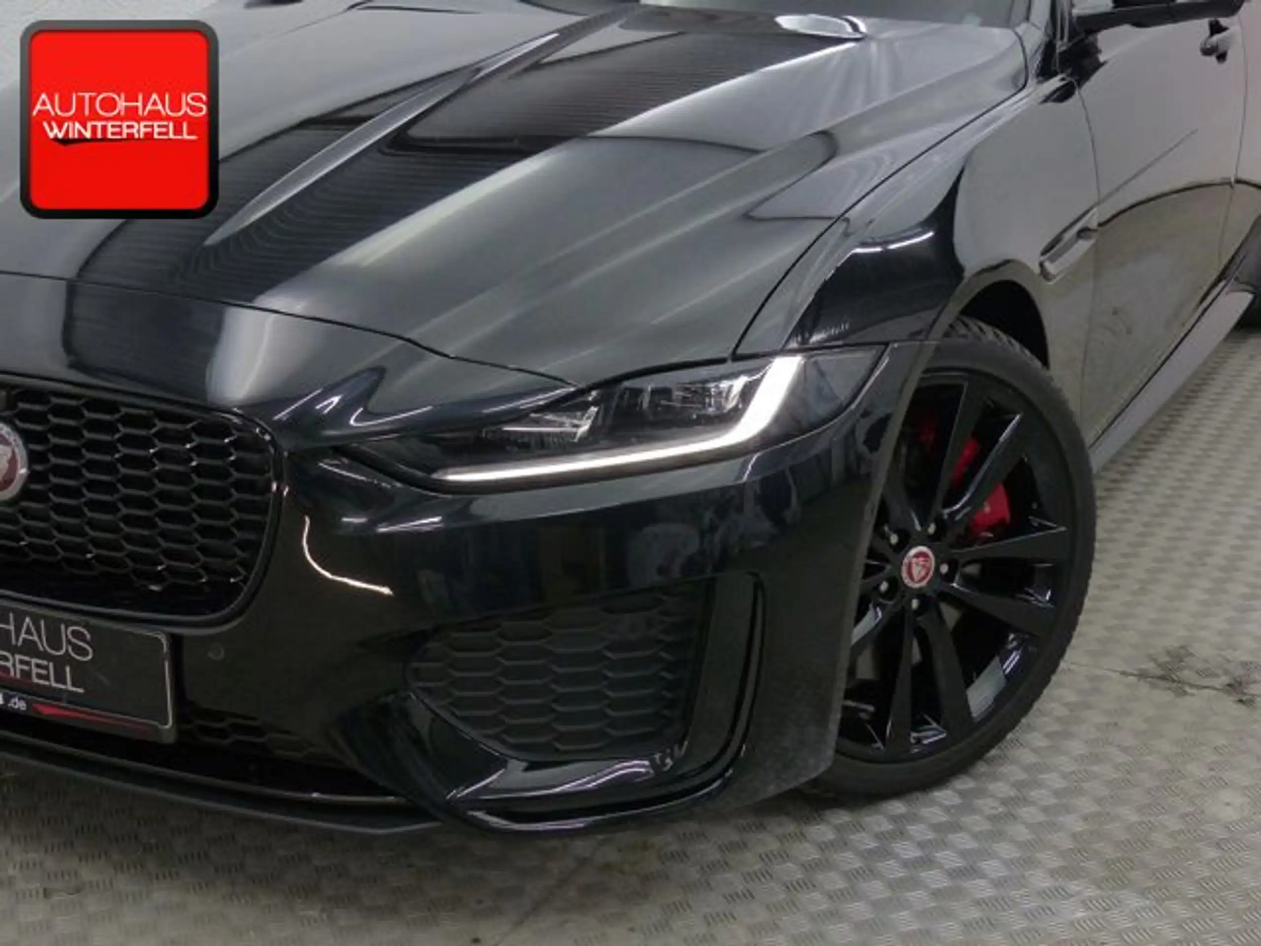 Jaguar - XE