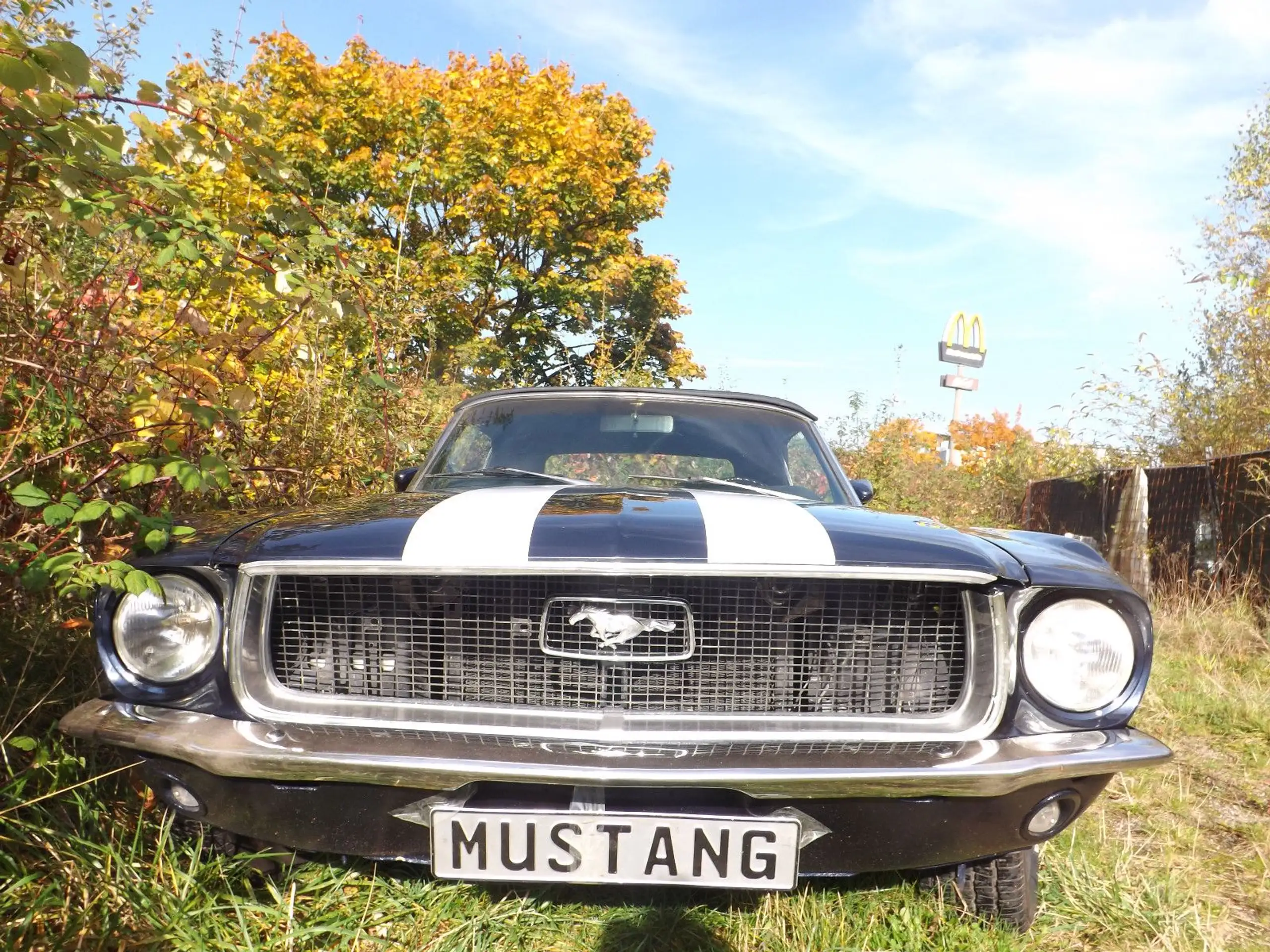 Ford - Mustang