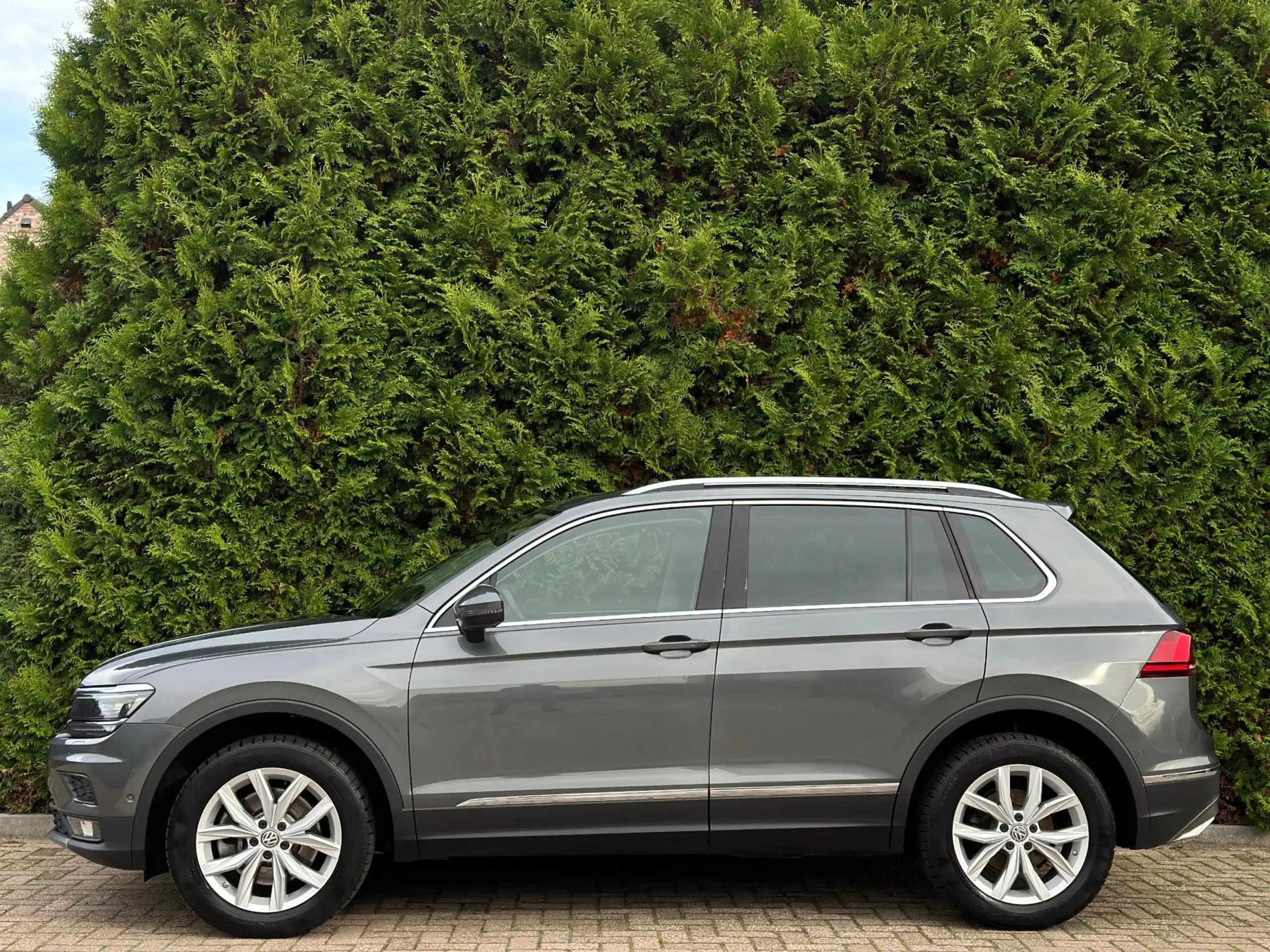 Volkswagen - Tiguan