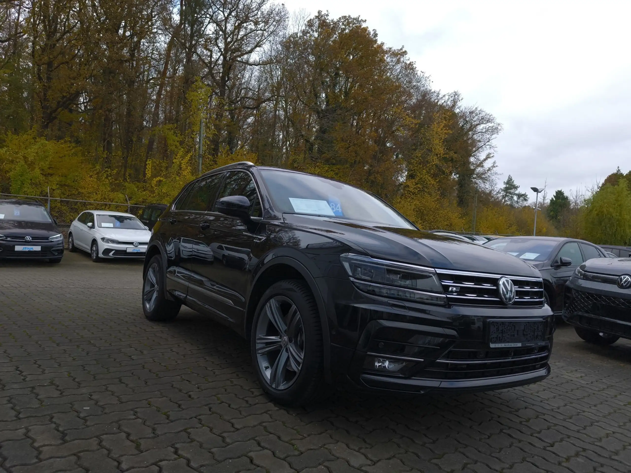 Volkswagen - Tiguan