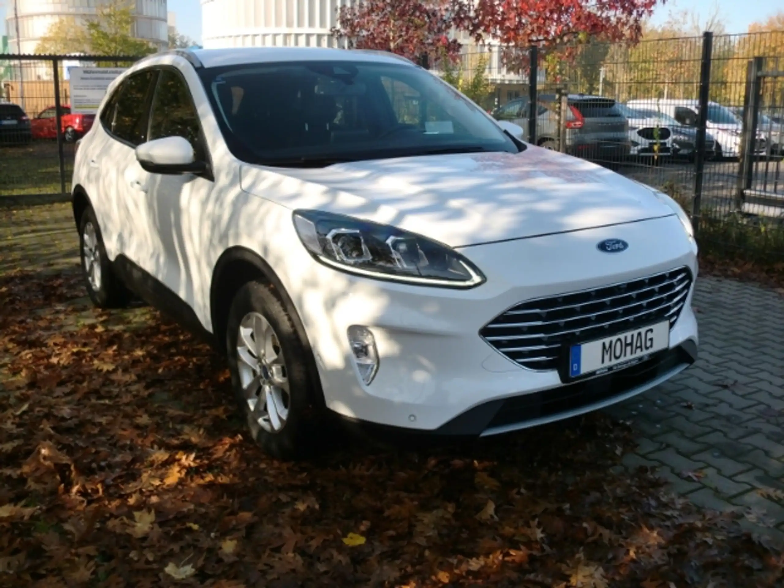 Ford - Kuga