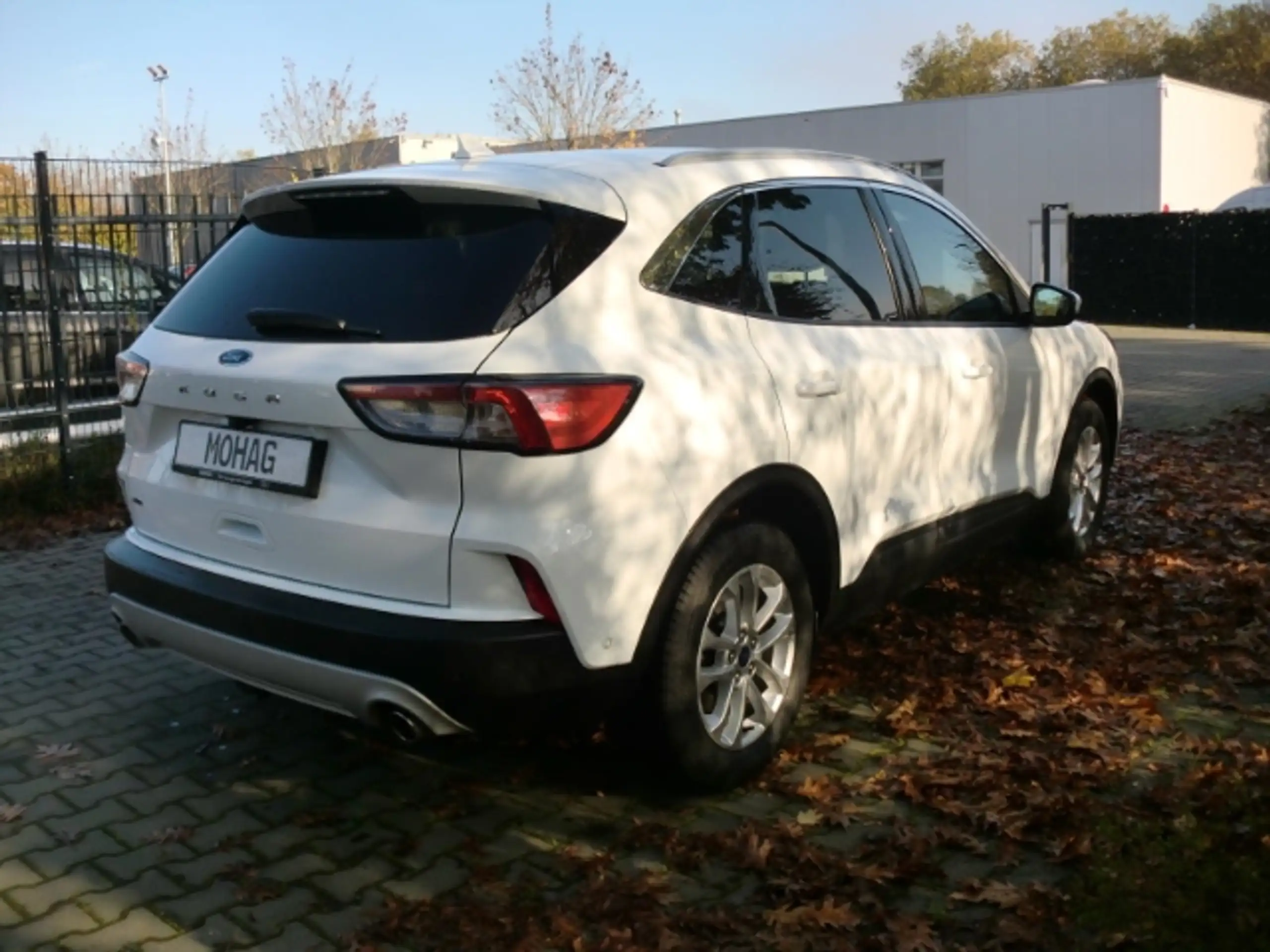 Ford - Kuga