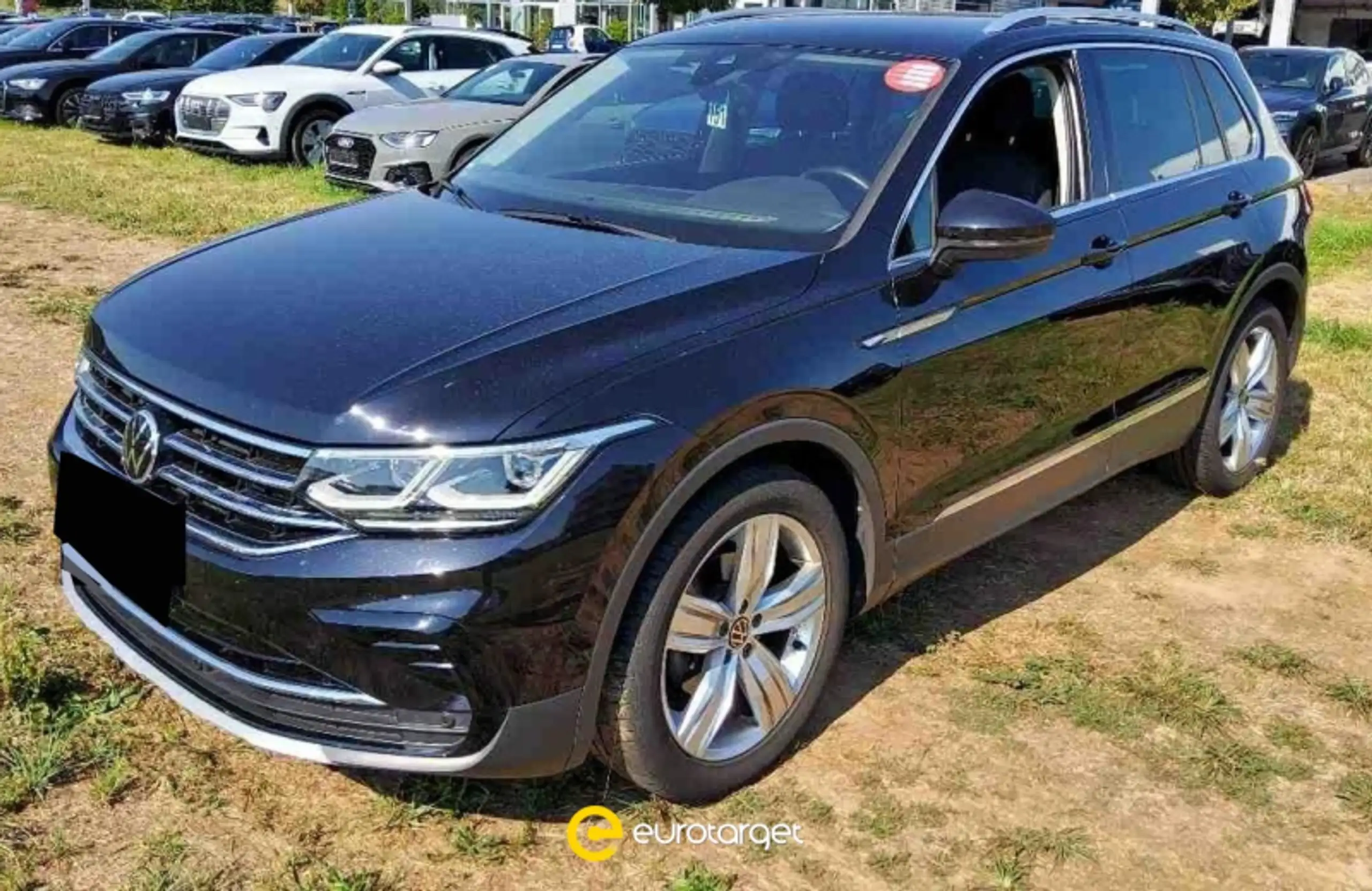 Volkswagen - Tiguan