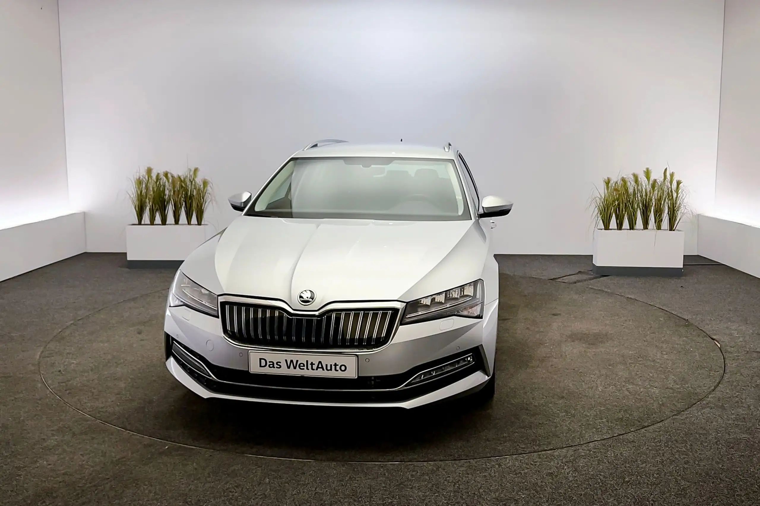 Skoda - Superb