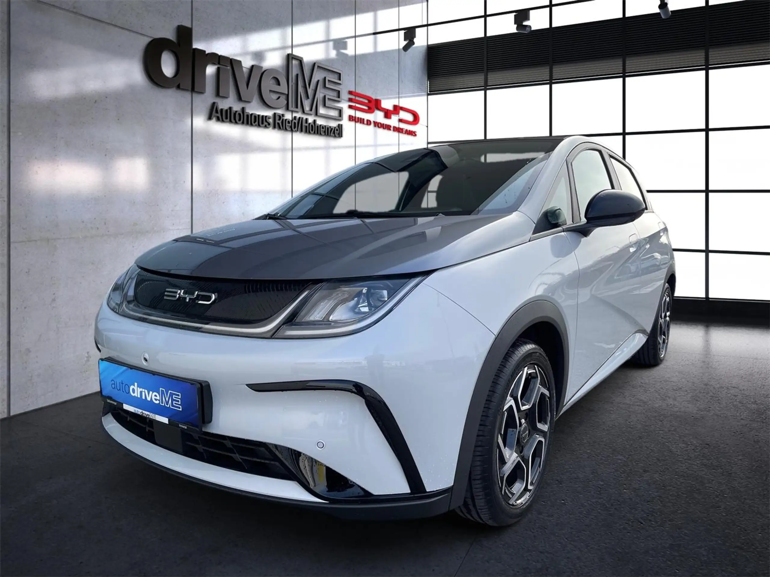 BYD Dolphin 2019