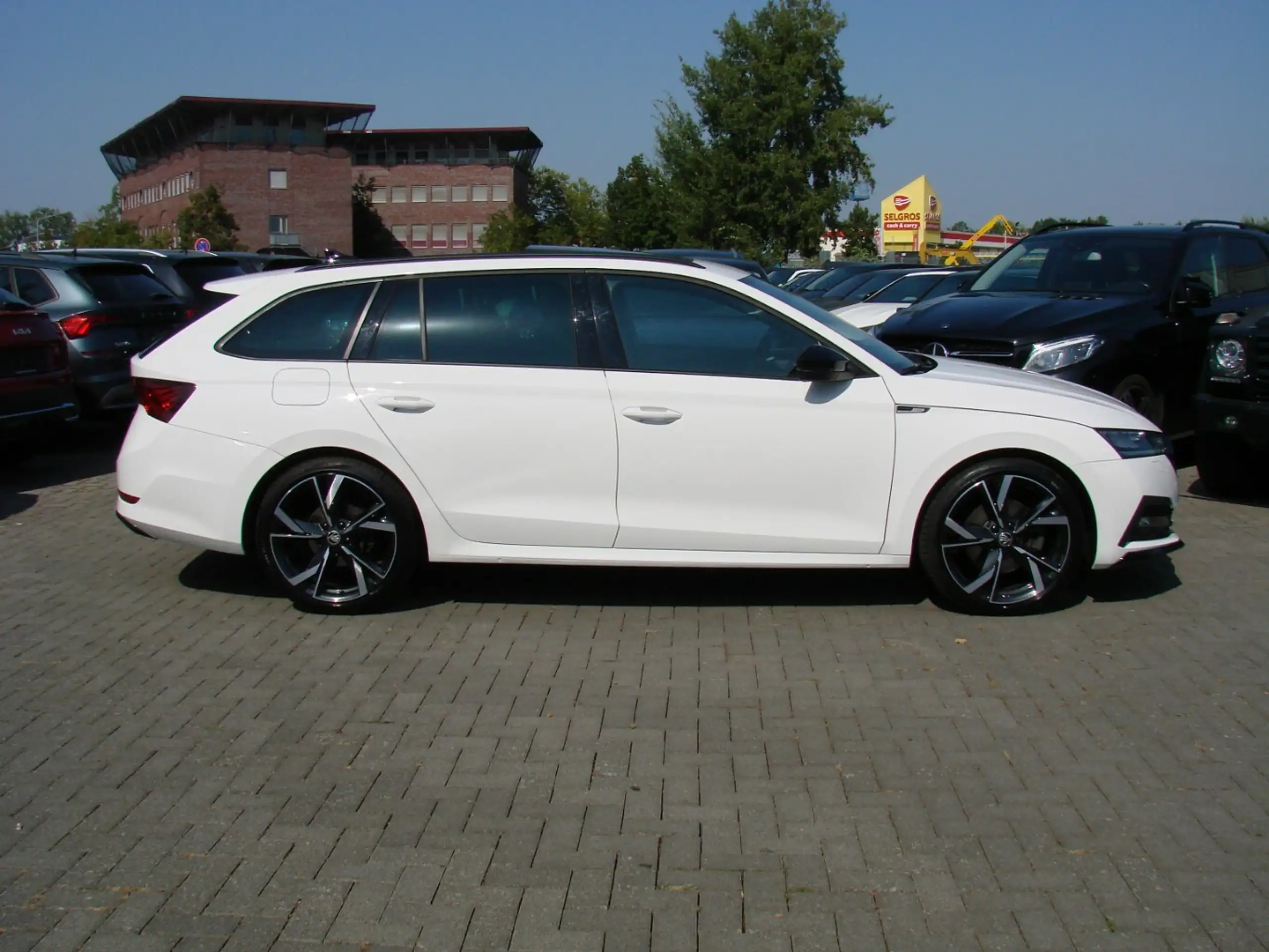 Skoda - Octavia