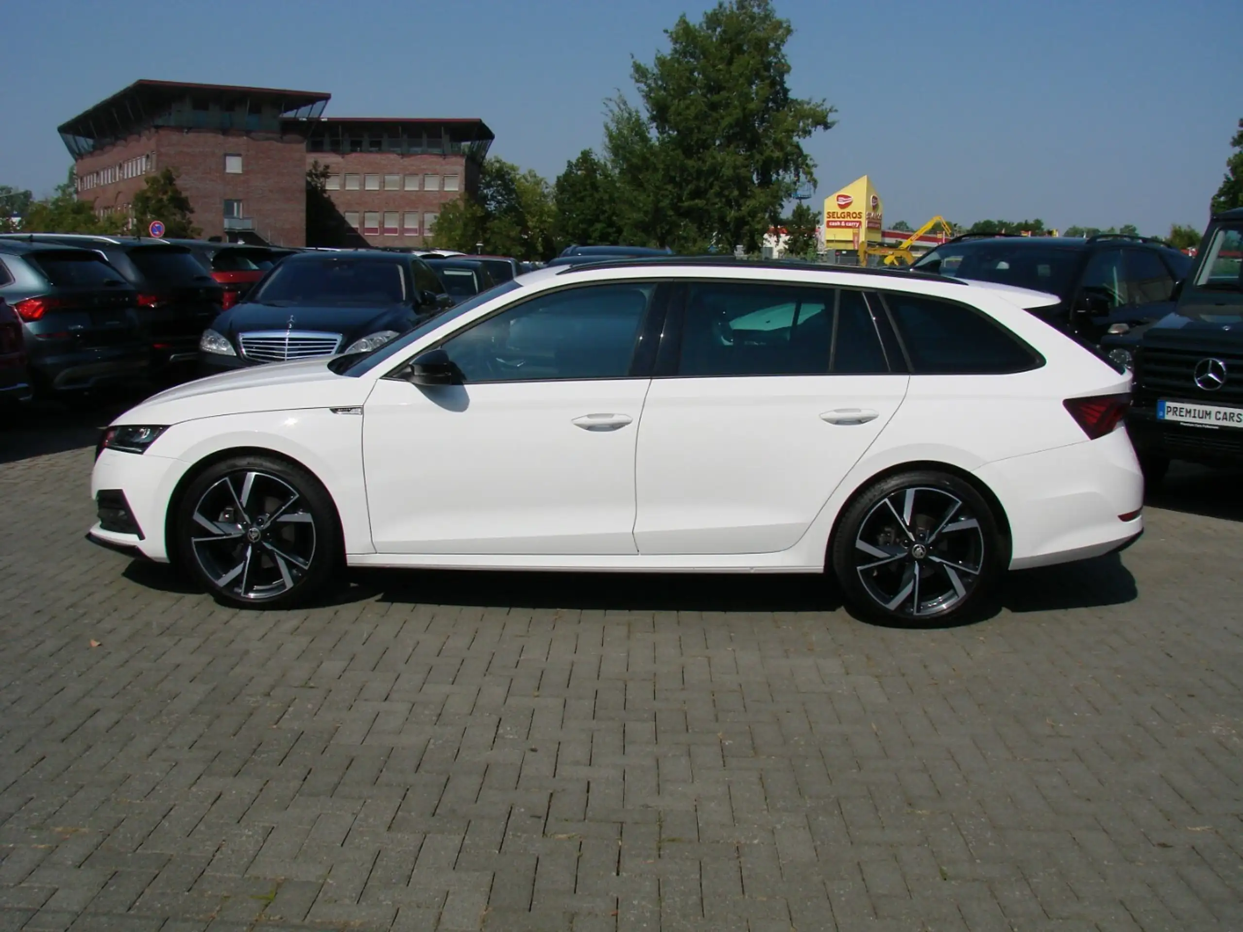 Skoda - Octavia