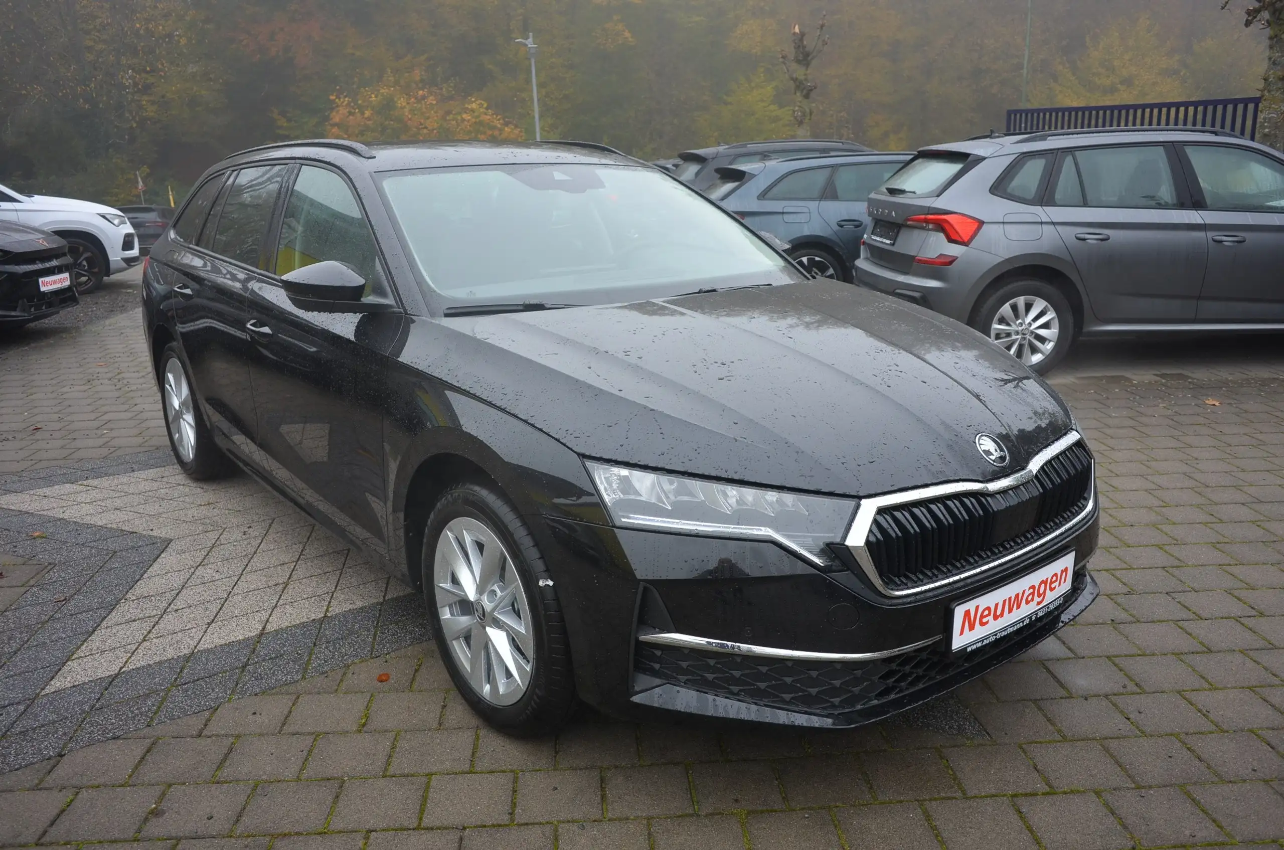 Skoda - Octavia