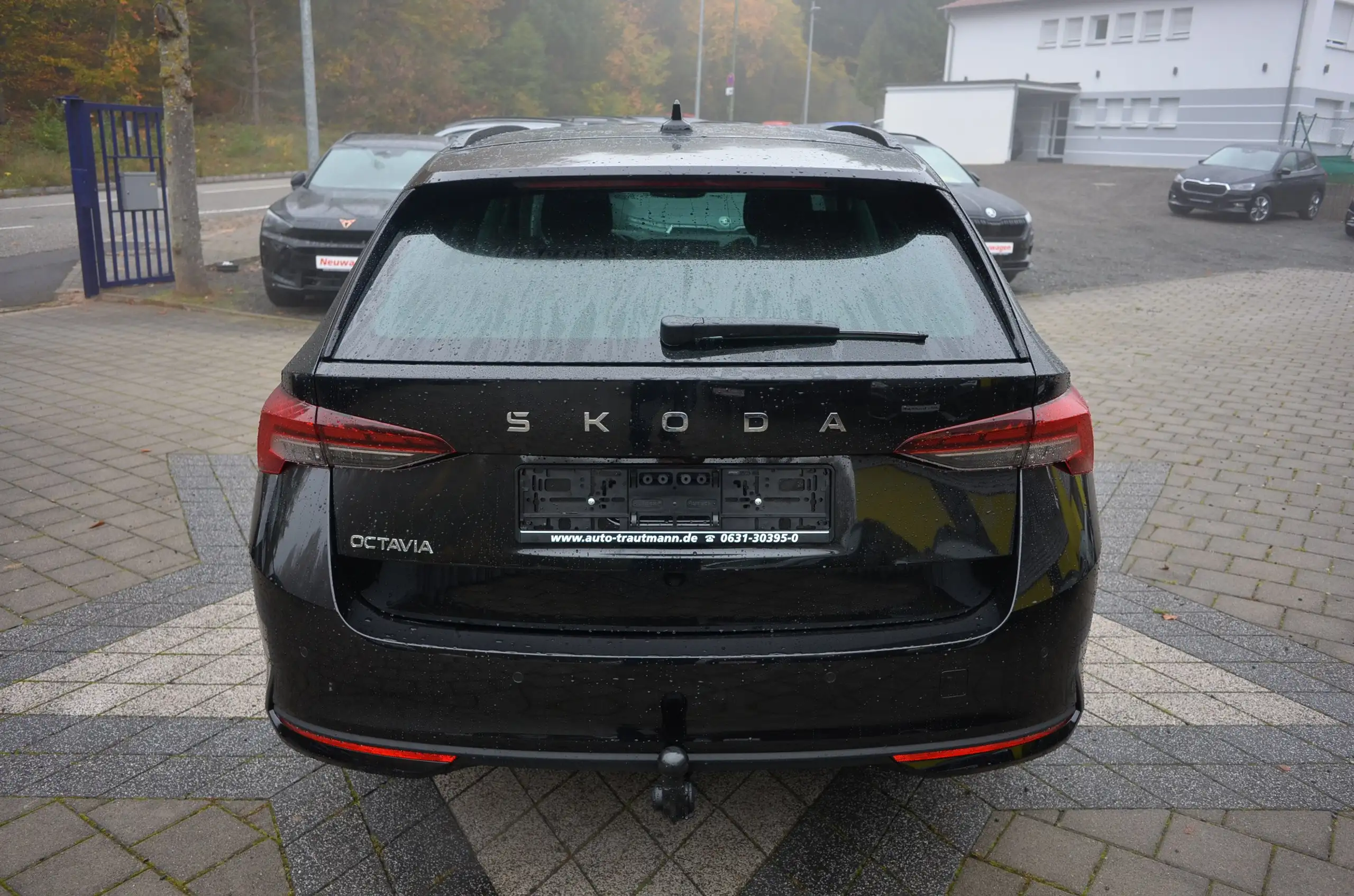 Skoda - Octavia