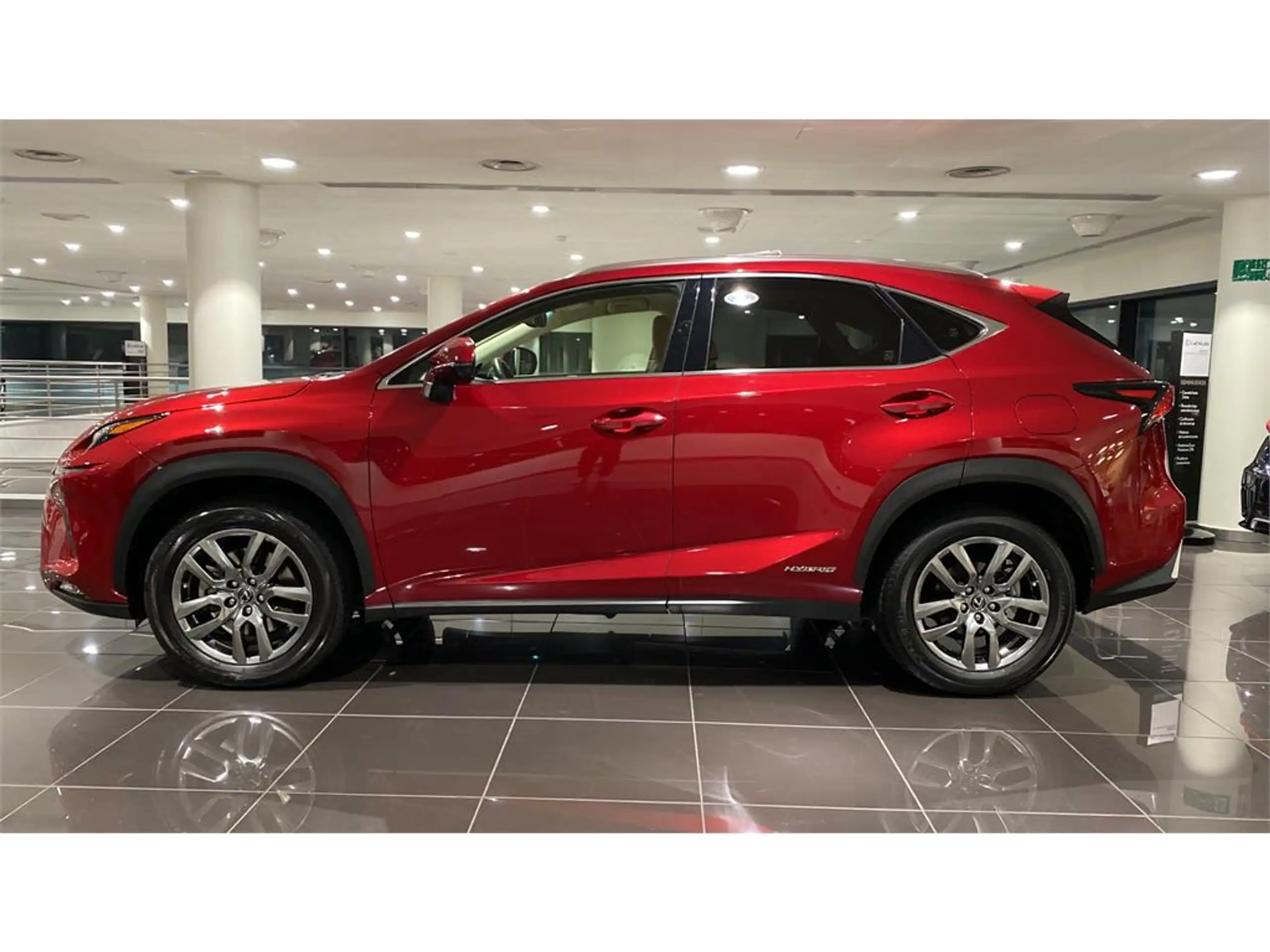 Lexus - NX 300h