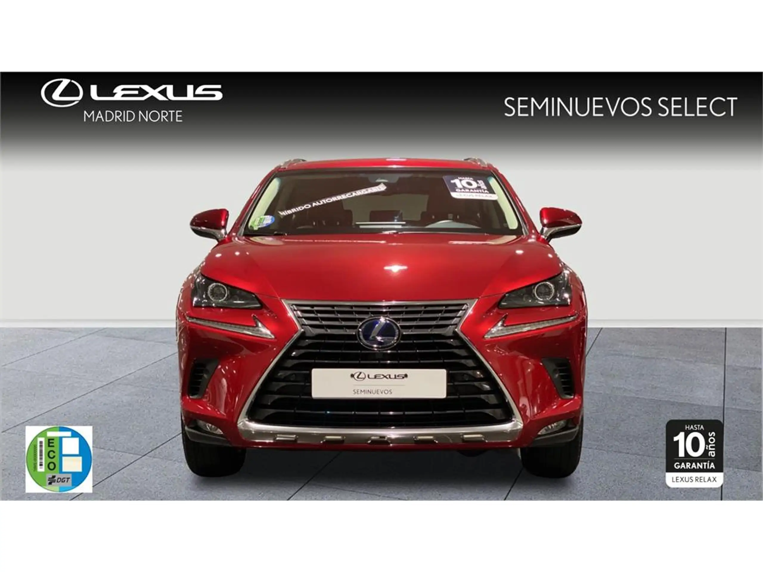 Lexus - NX 300h