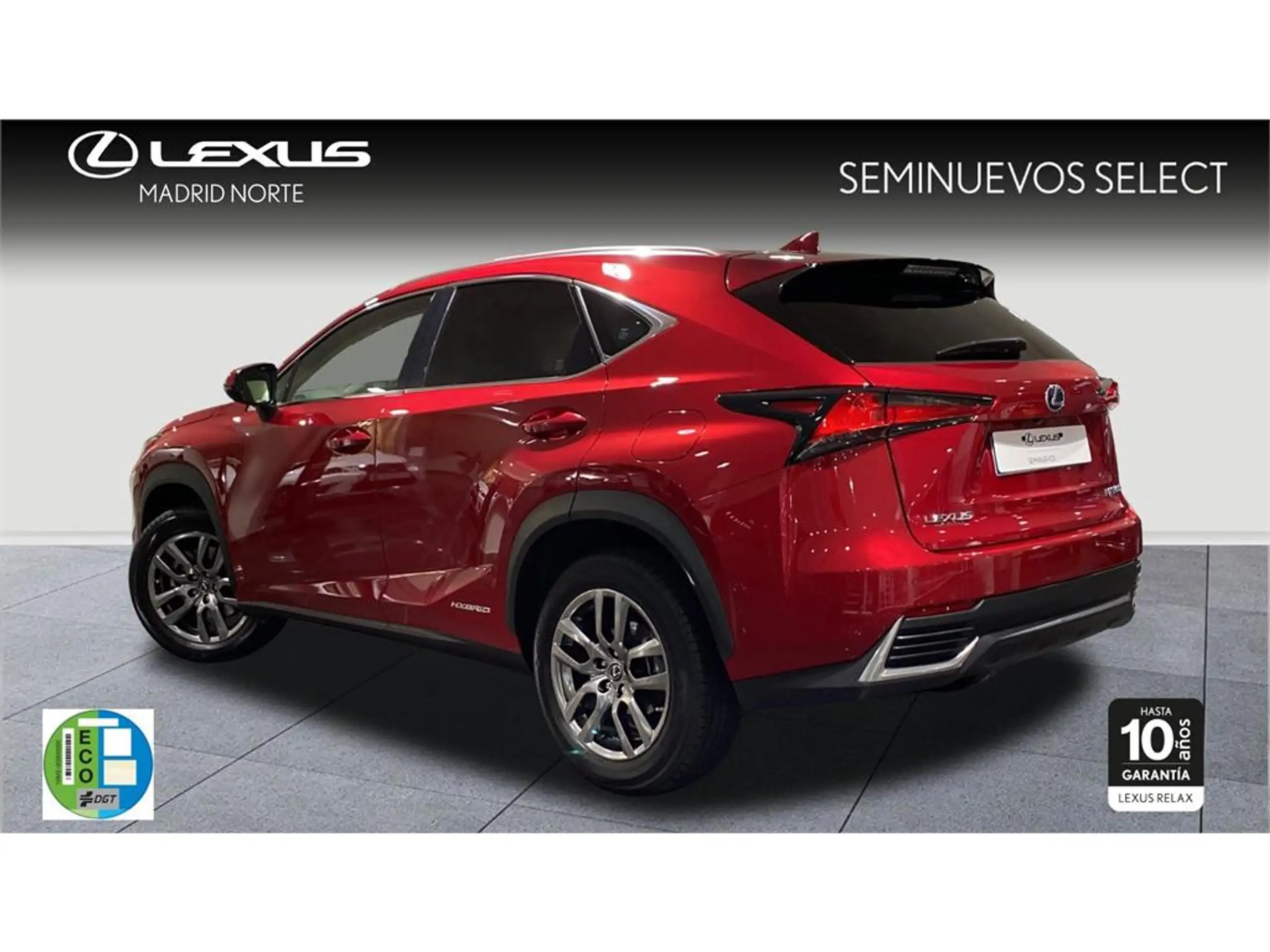 Lexus - NX 300h