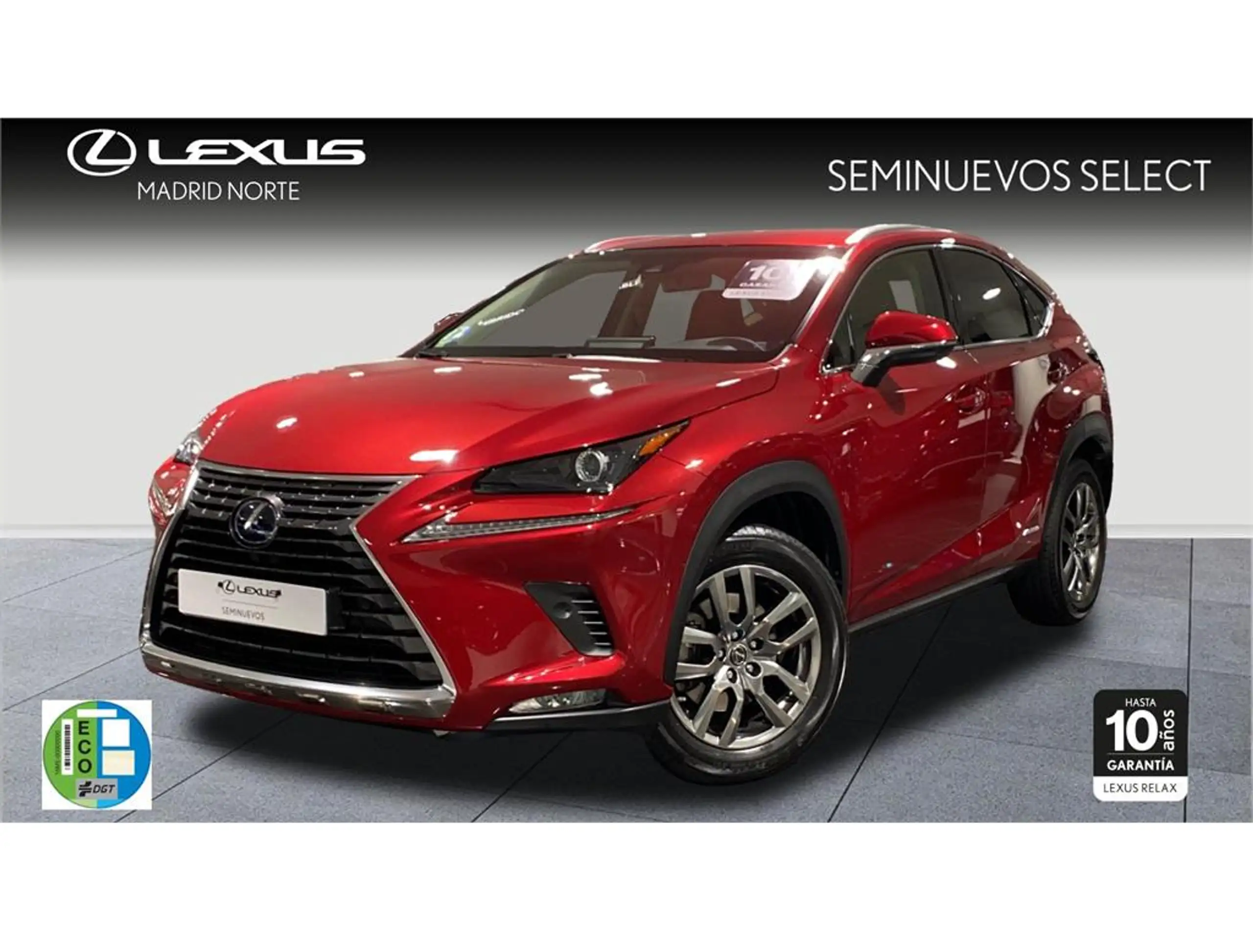 Lexus - NX 300h