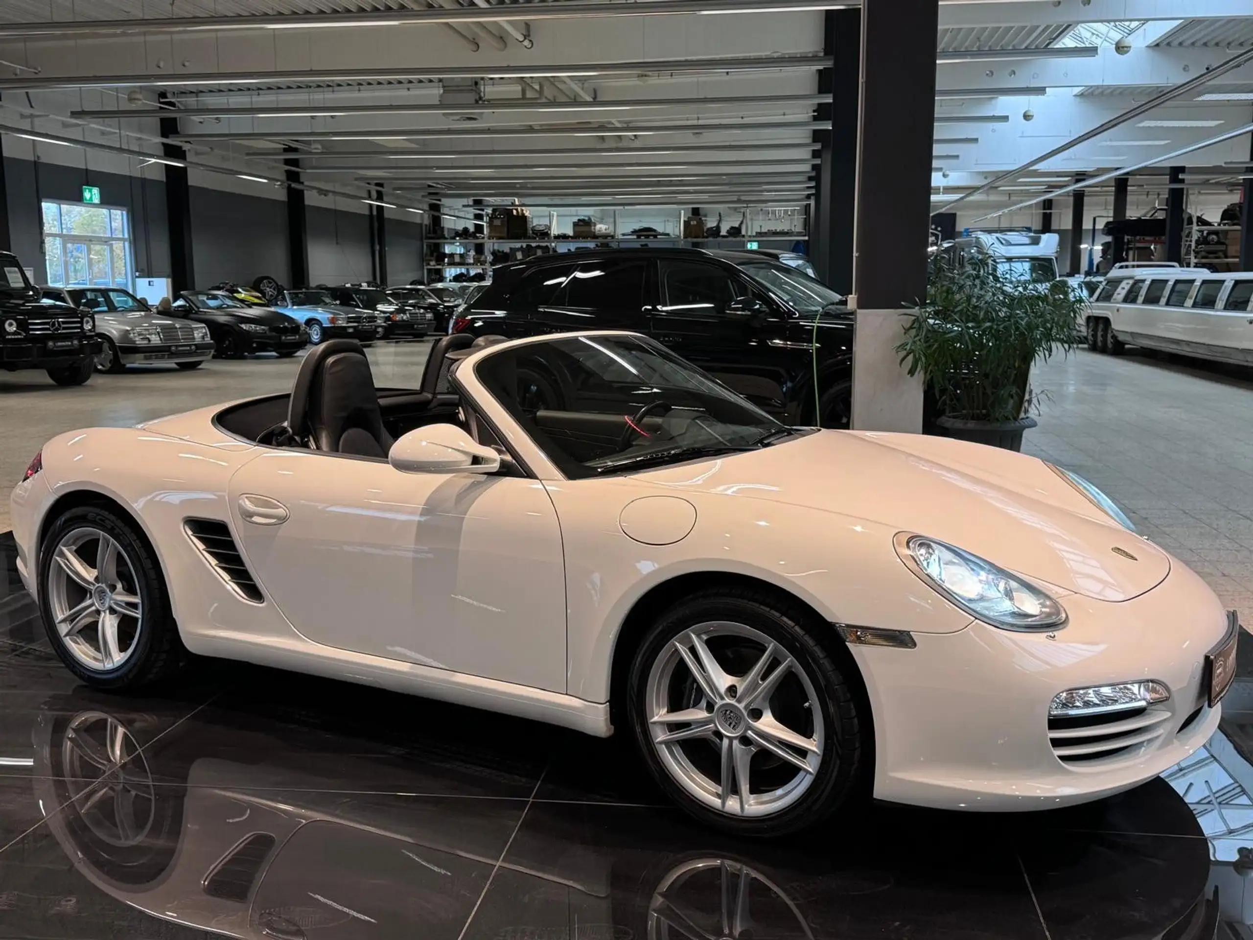 Porsche - Boxster