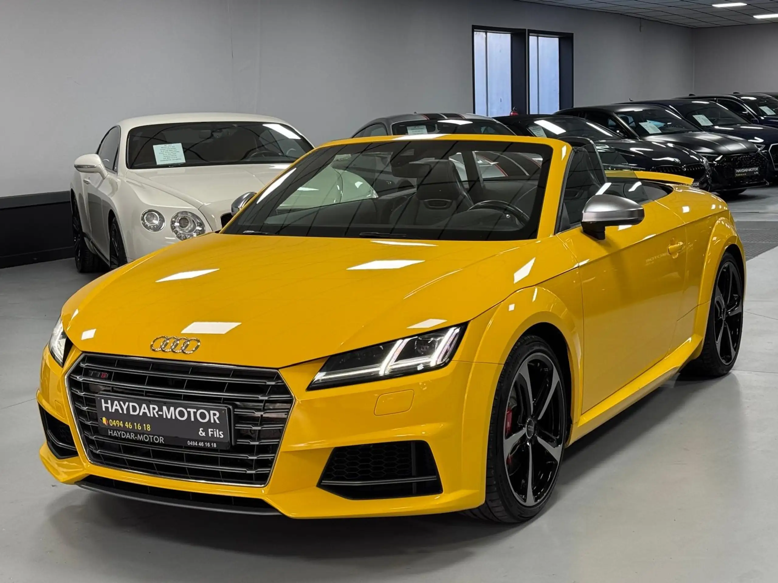 Audi TTS 2017