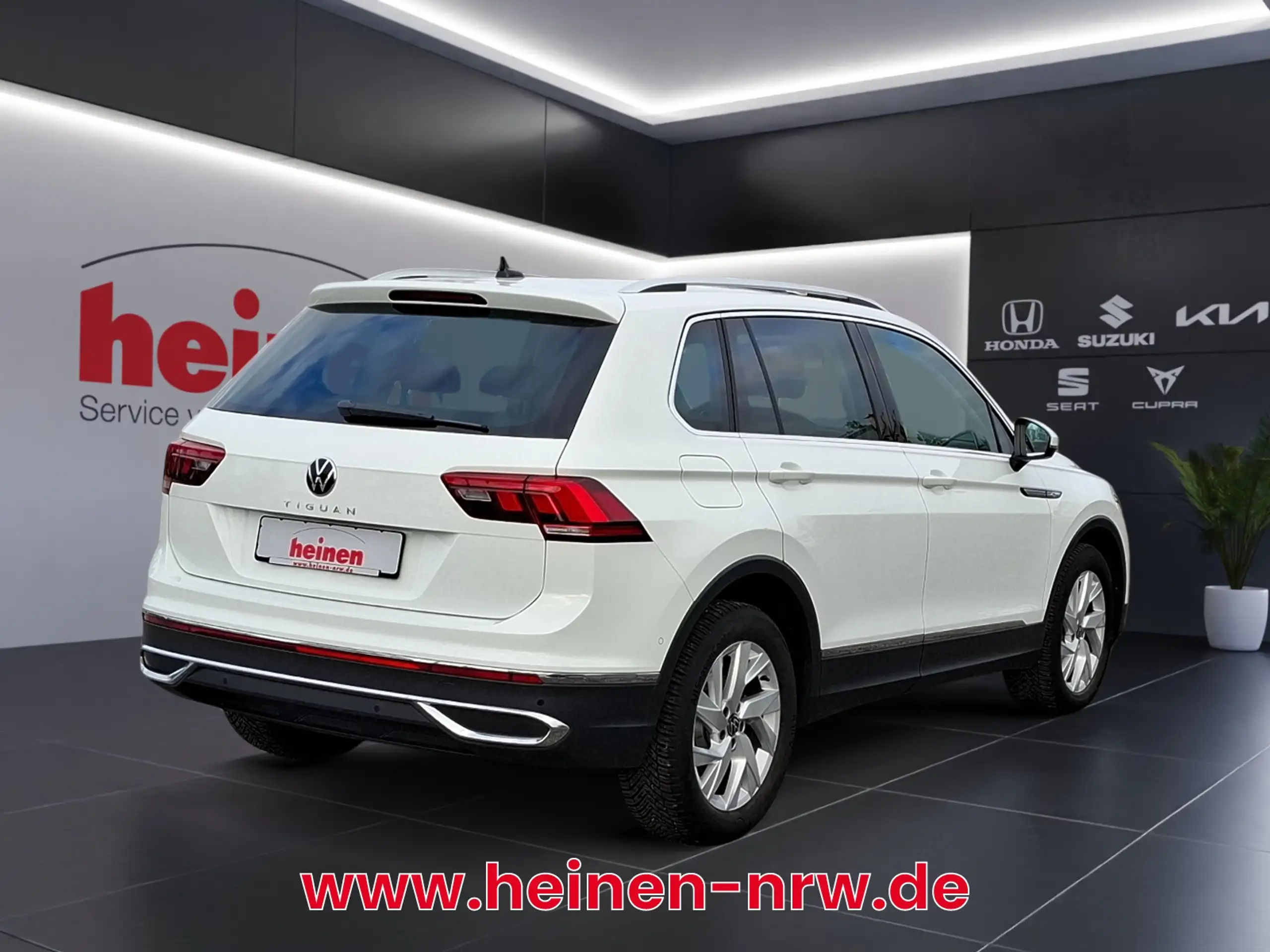 Volkswagen - Tiguan