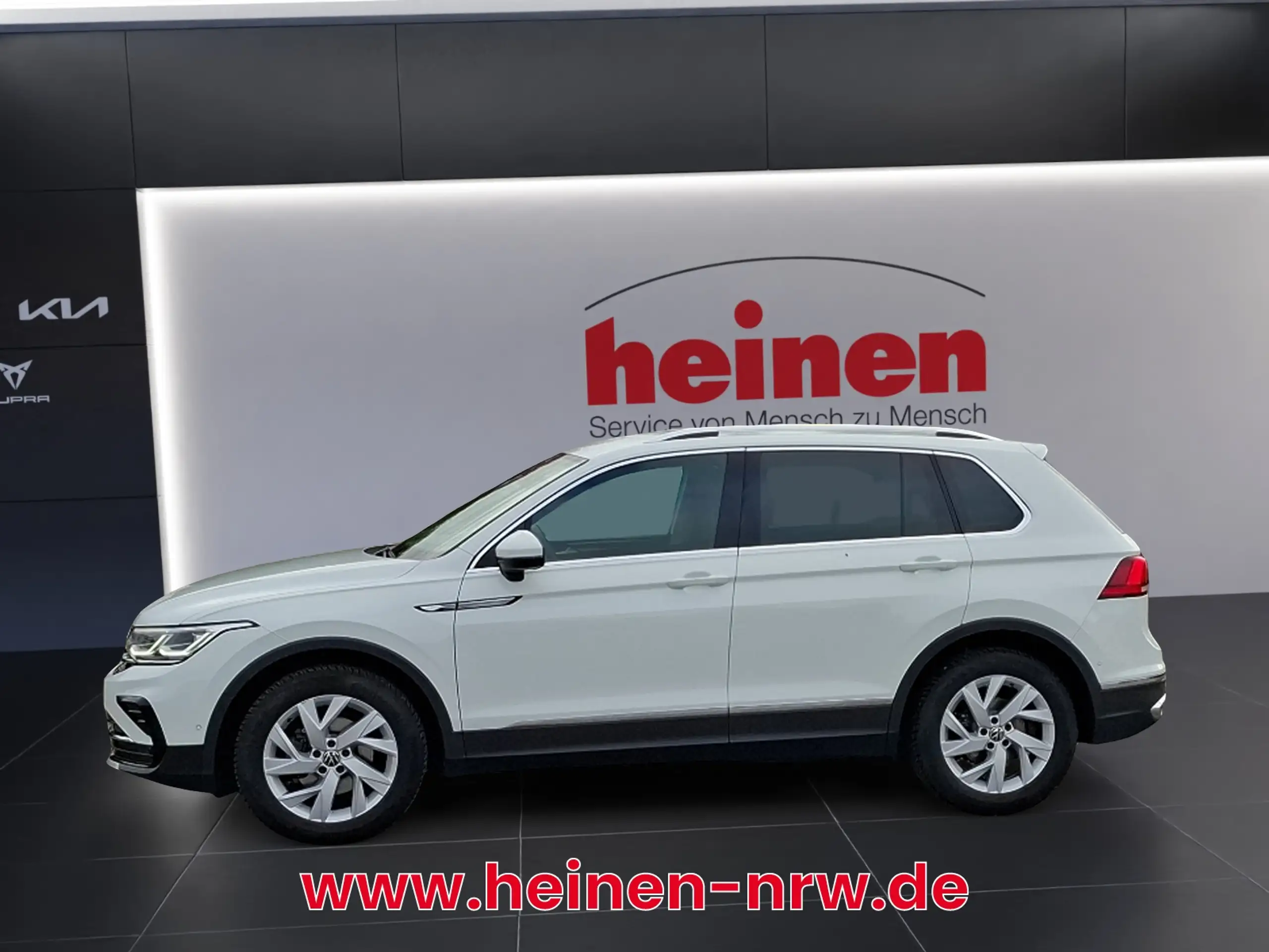 Volkswagen - Tiguan