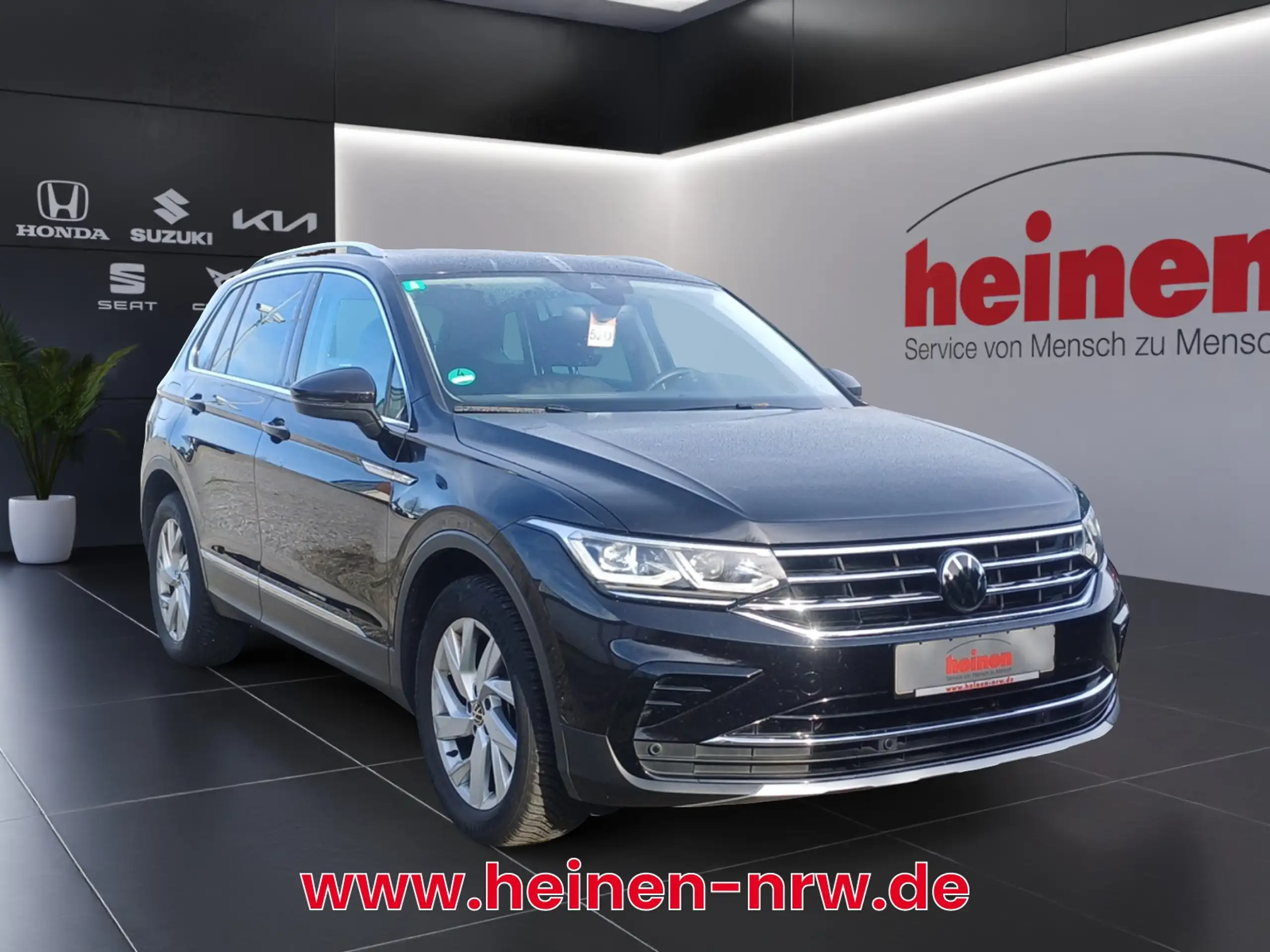 Volkswagen - Tiguan