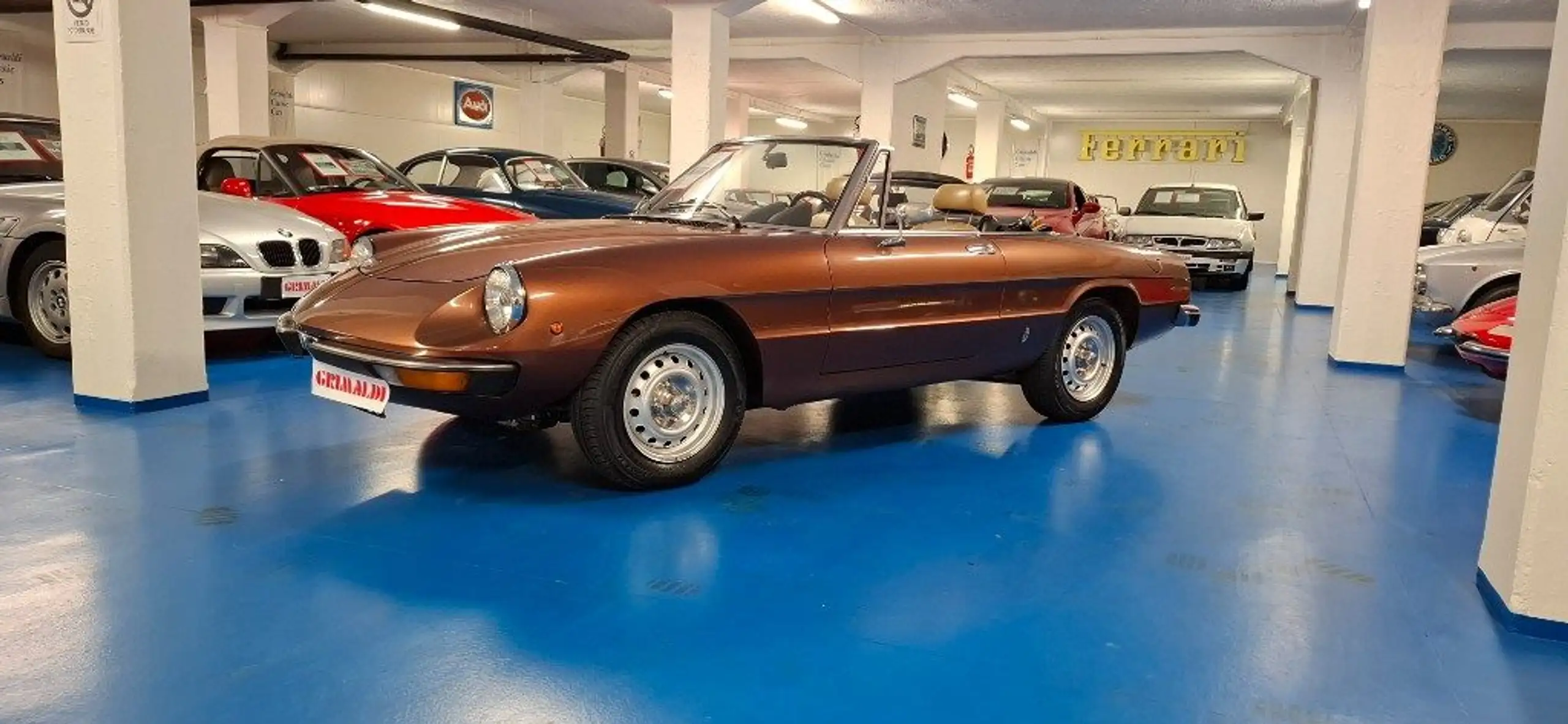 Alfa Romeo - Spider