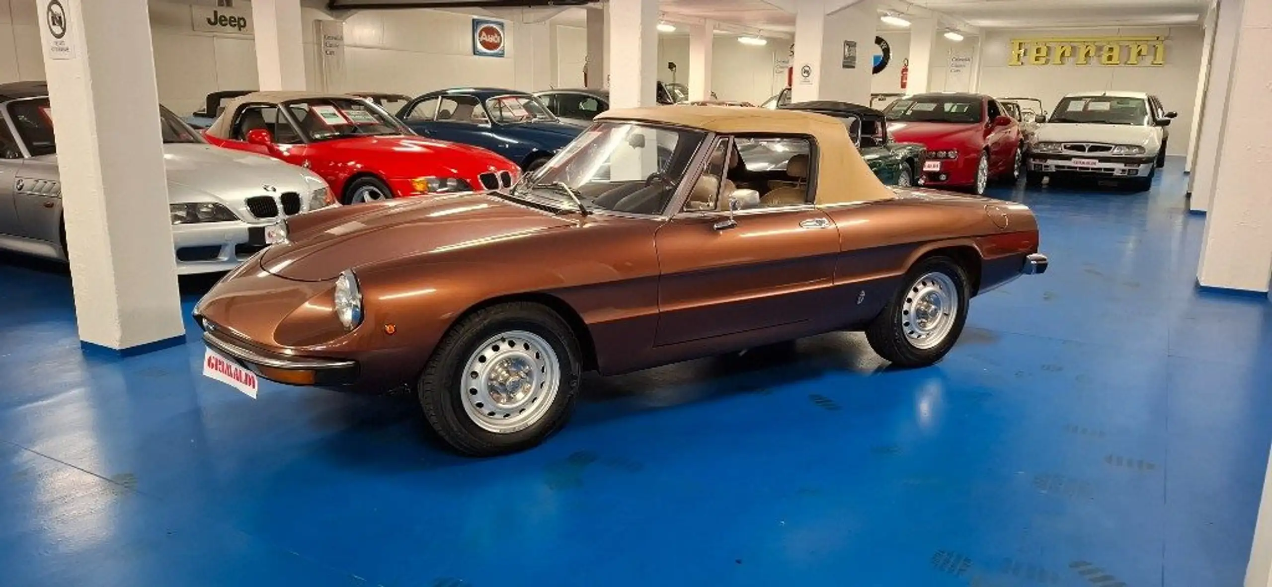 Alfa Romeo - Spider