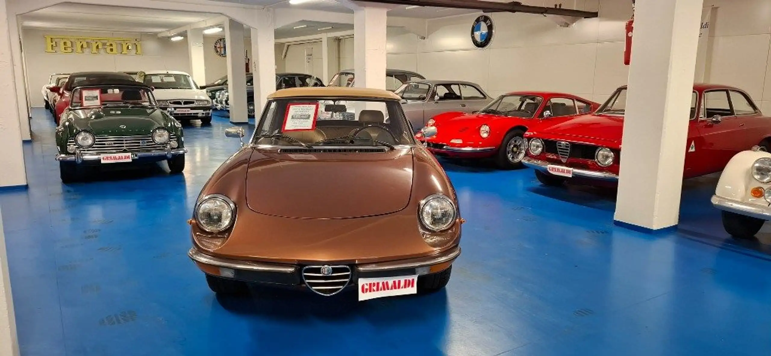 Alfa Romeo - Spider