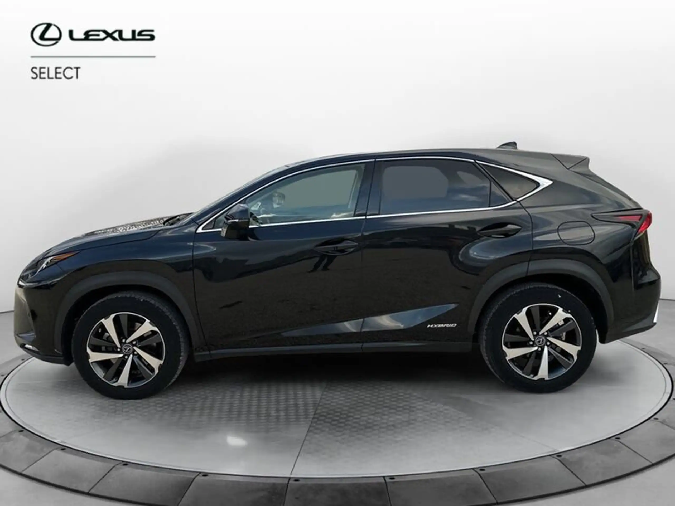 Lexus - NX 300