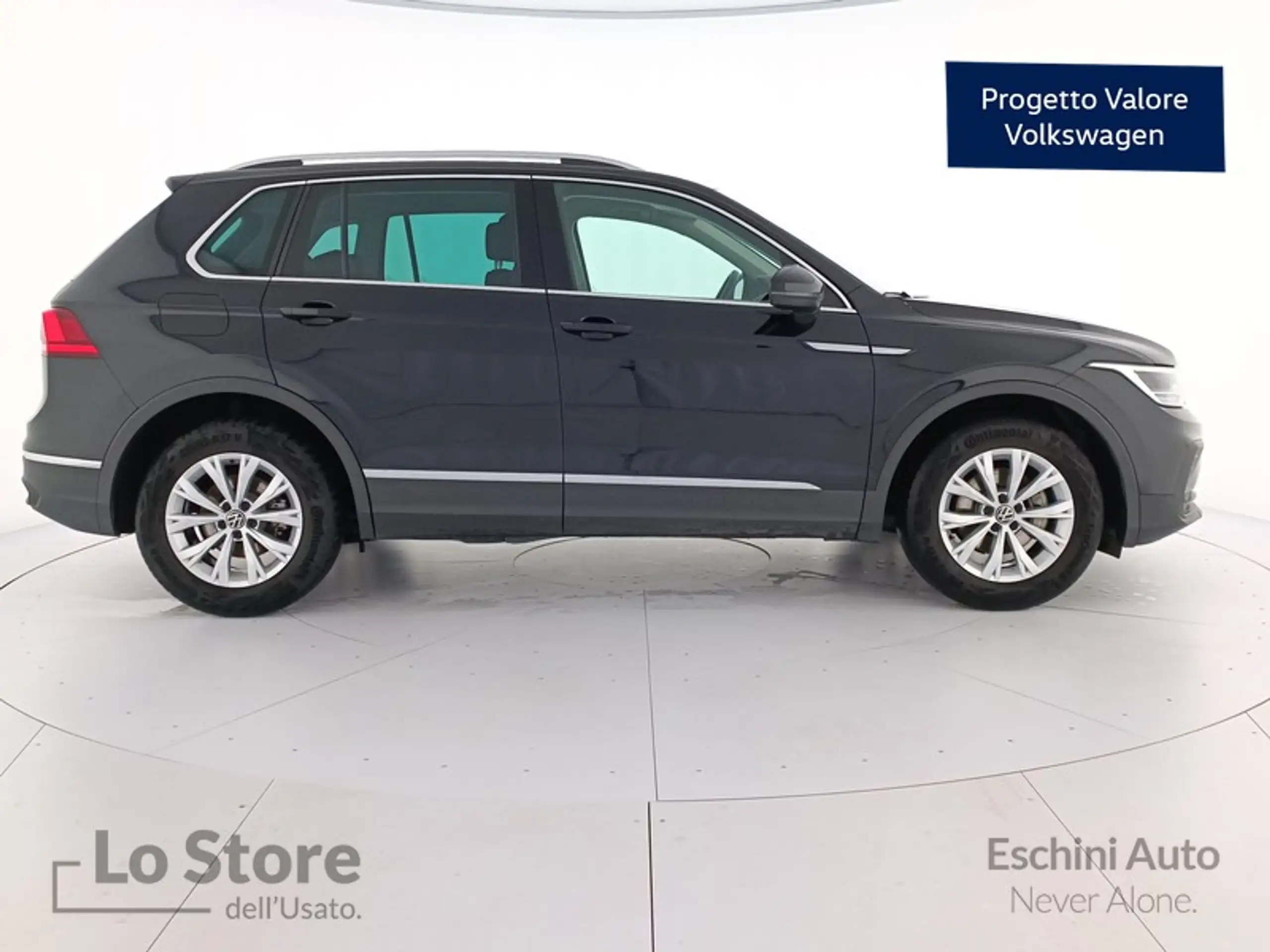 Volkswagen - Tiguan