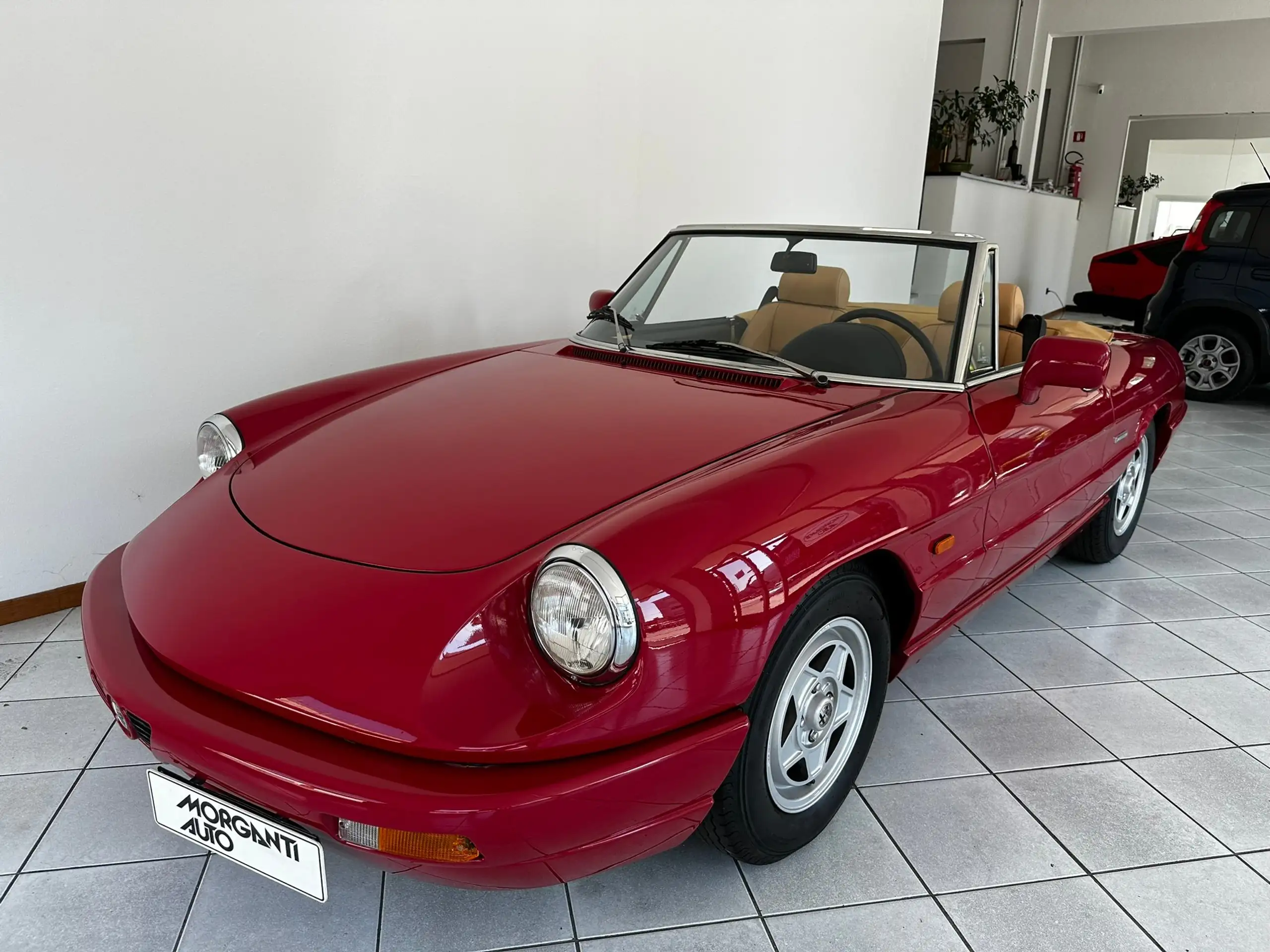 Alfa Romeo - Spider