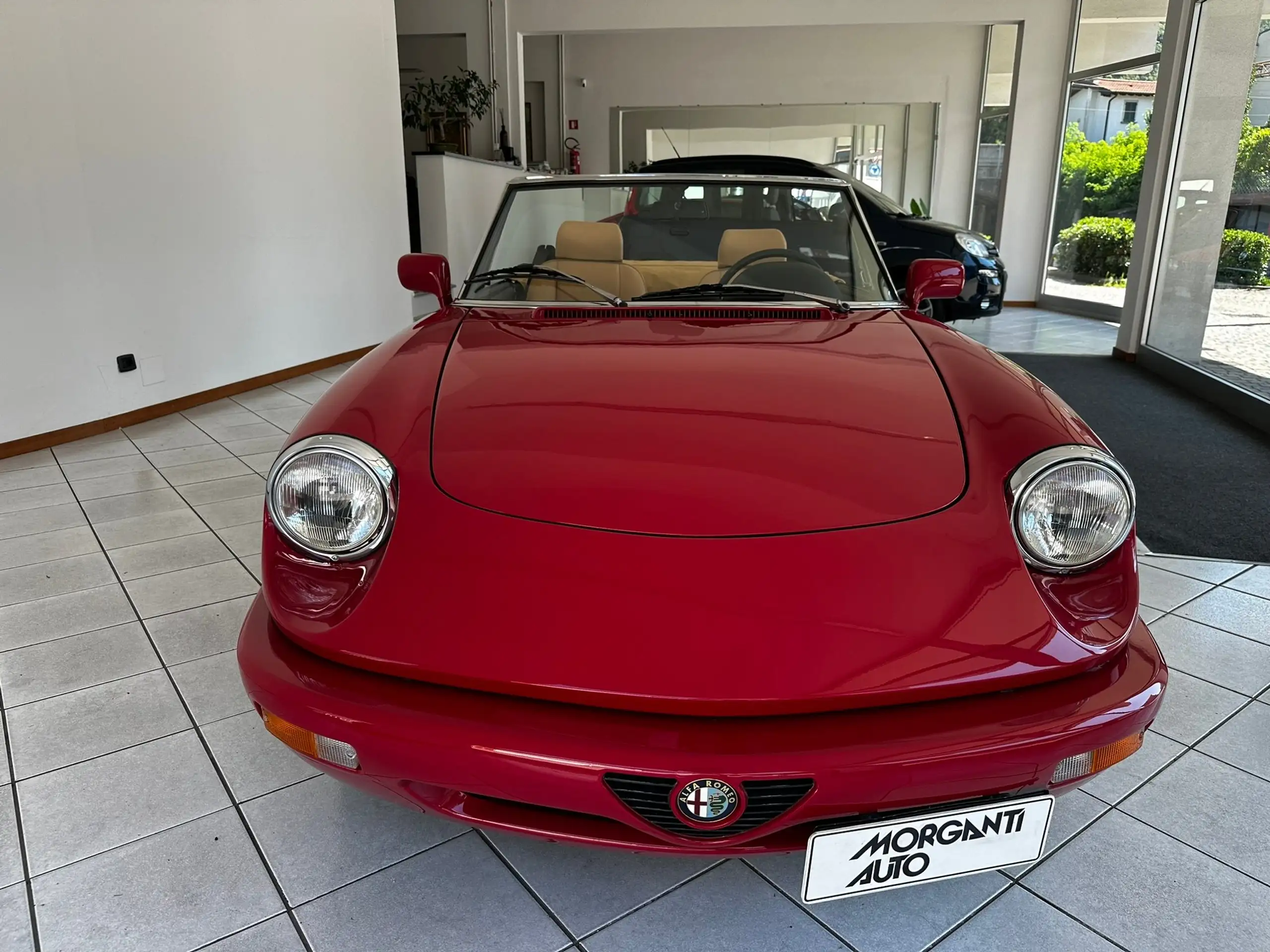 Alfa Romeo - Spider