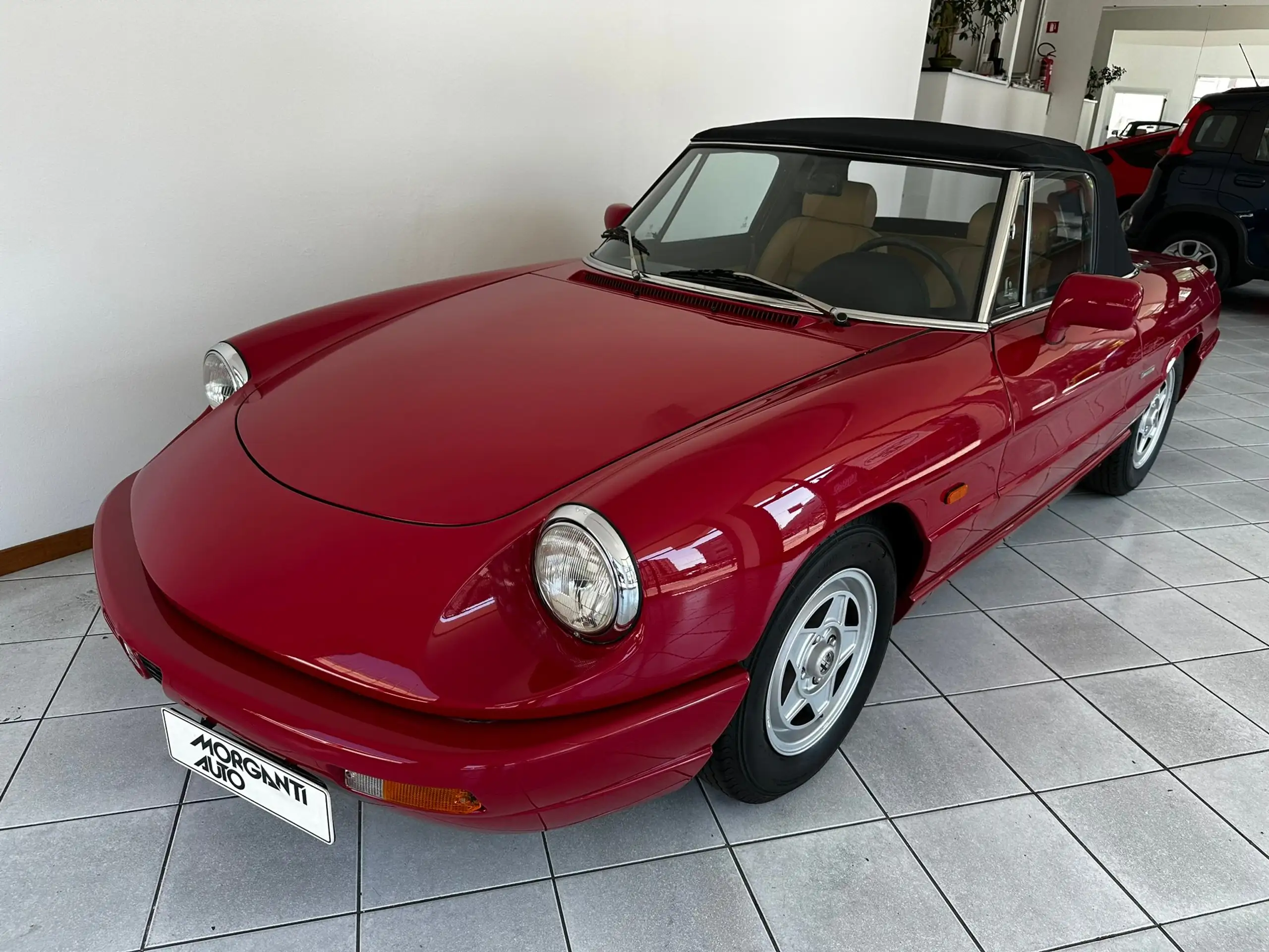 Alfa Romeo - Spider