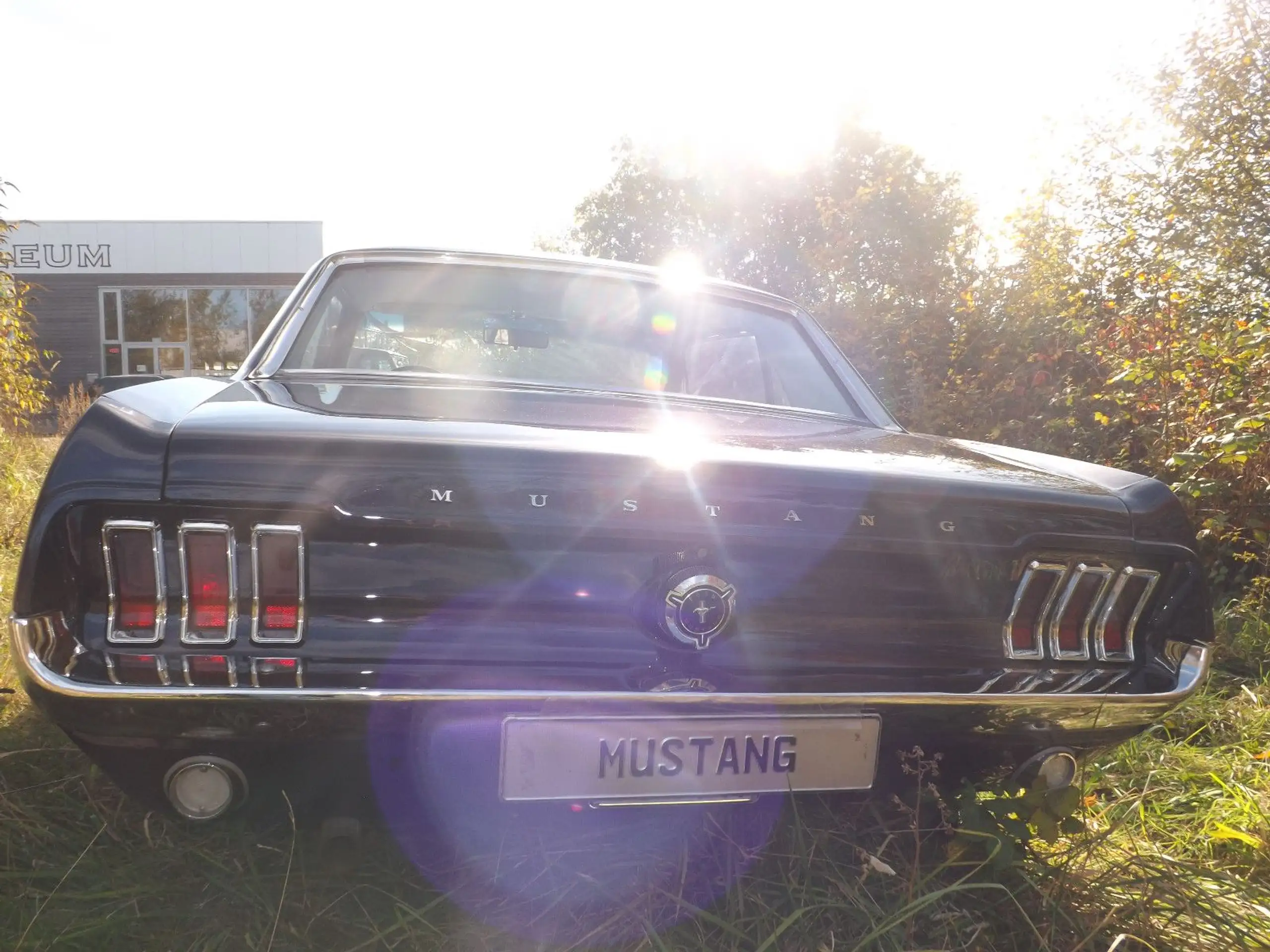 Ford - Mustang