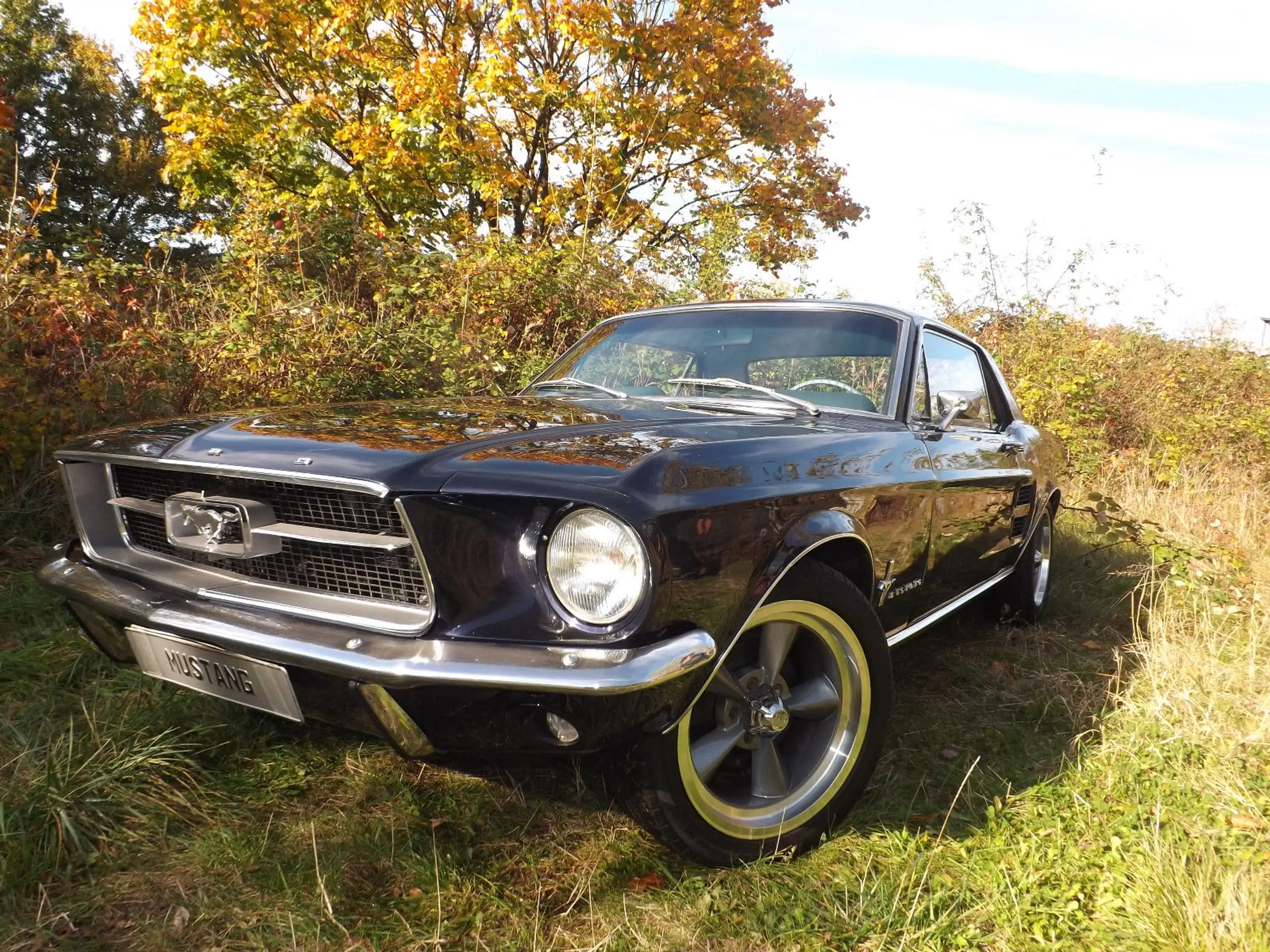 Ford Mustang 1967