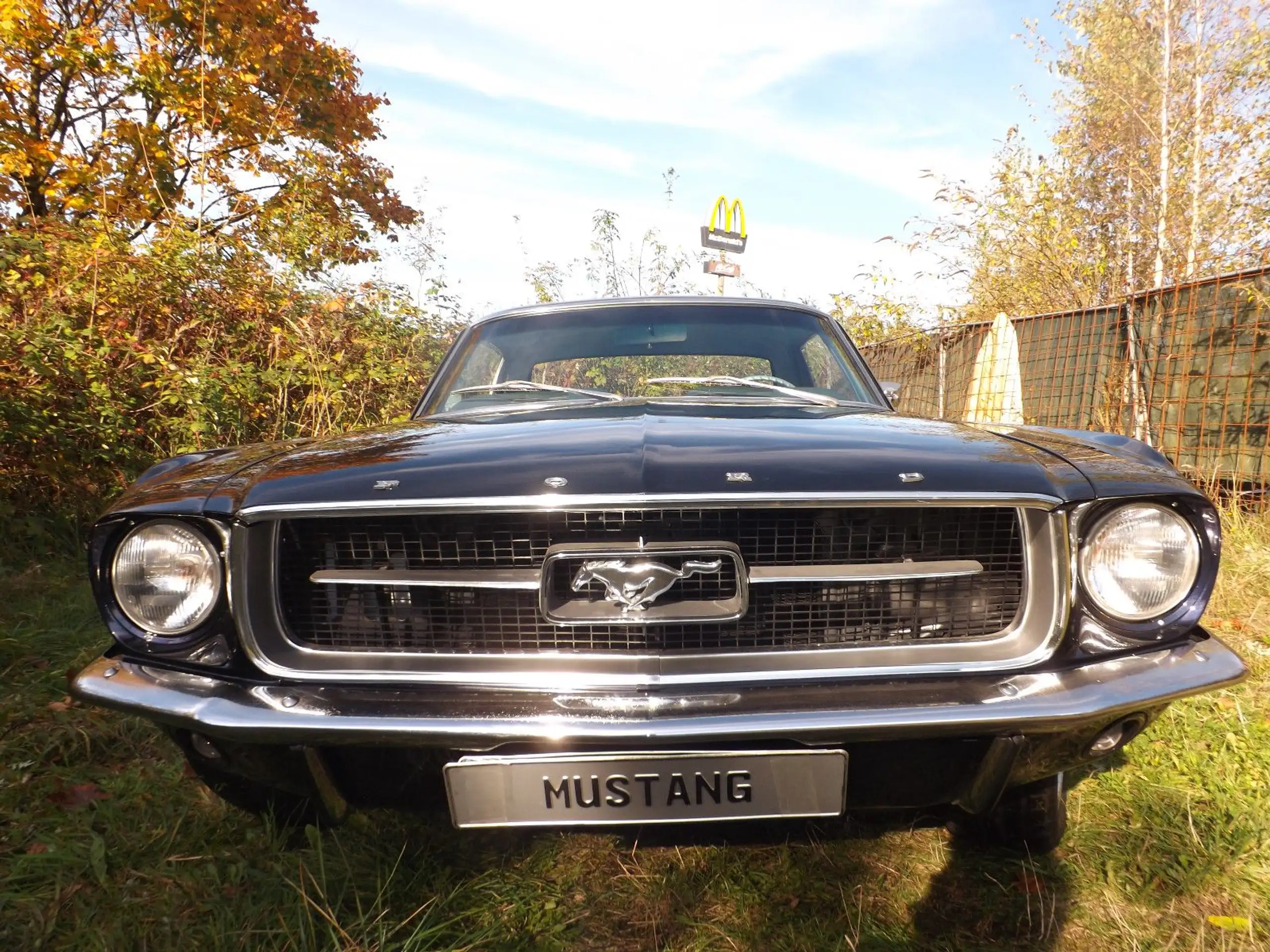 Ford - Mustang