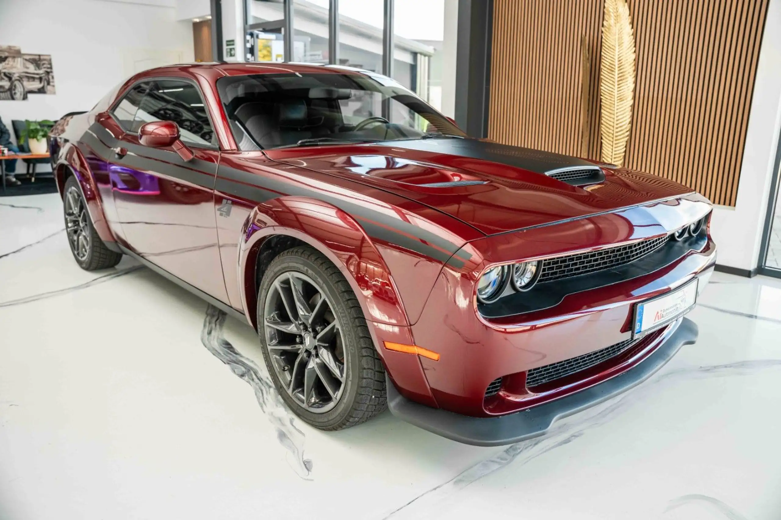 Dodge - Challenger