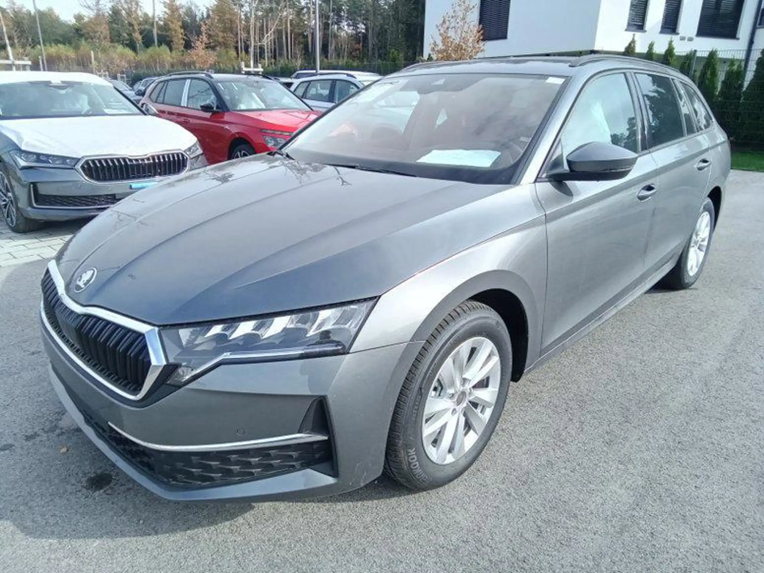 Skoda - Octavia