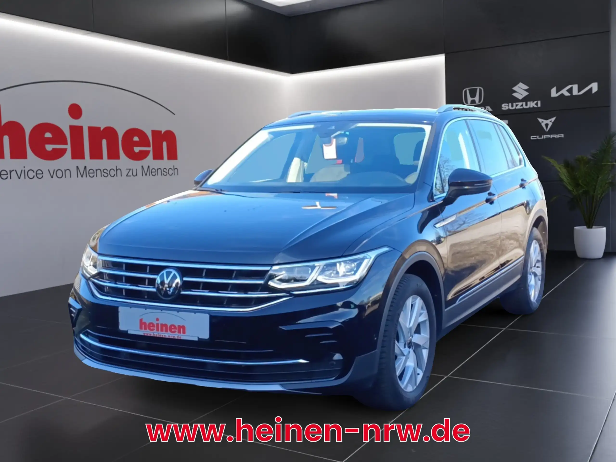 Volkswagen - Tiguan