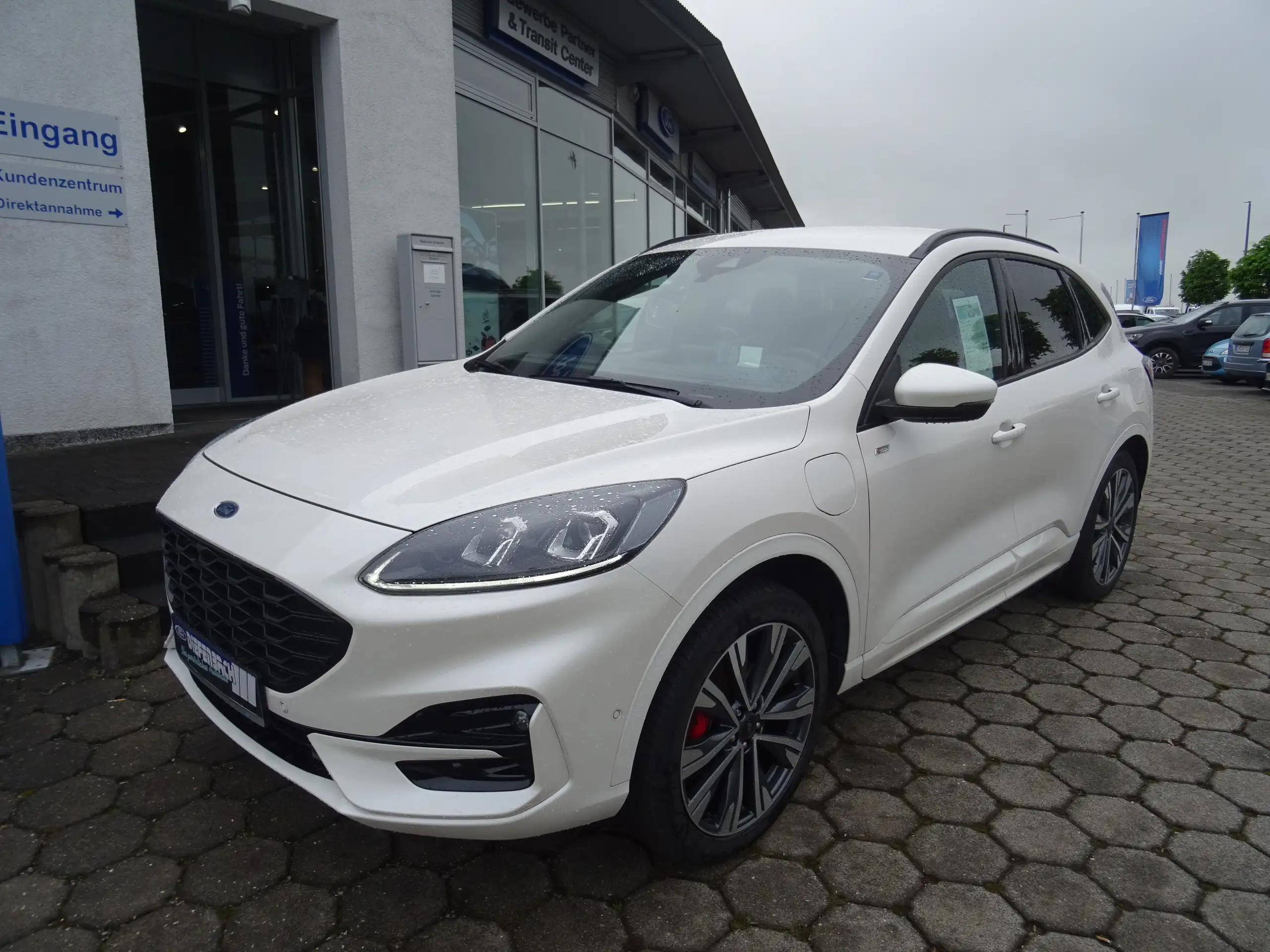 Ford - Kuga