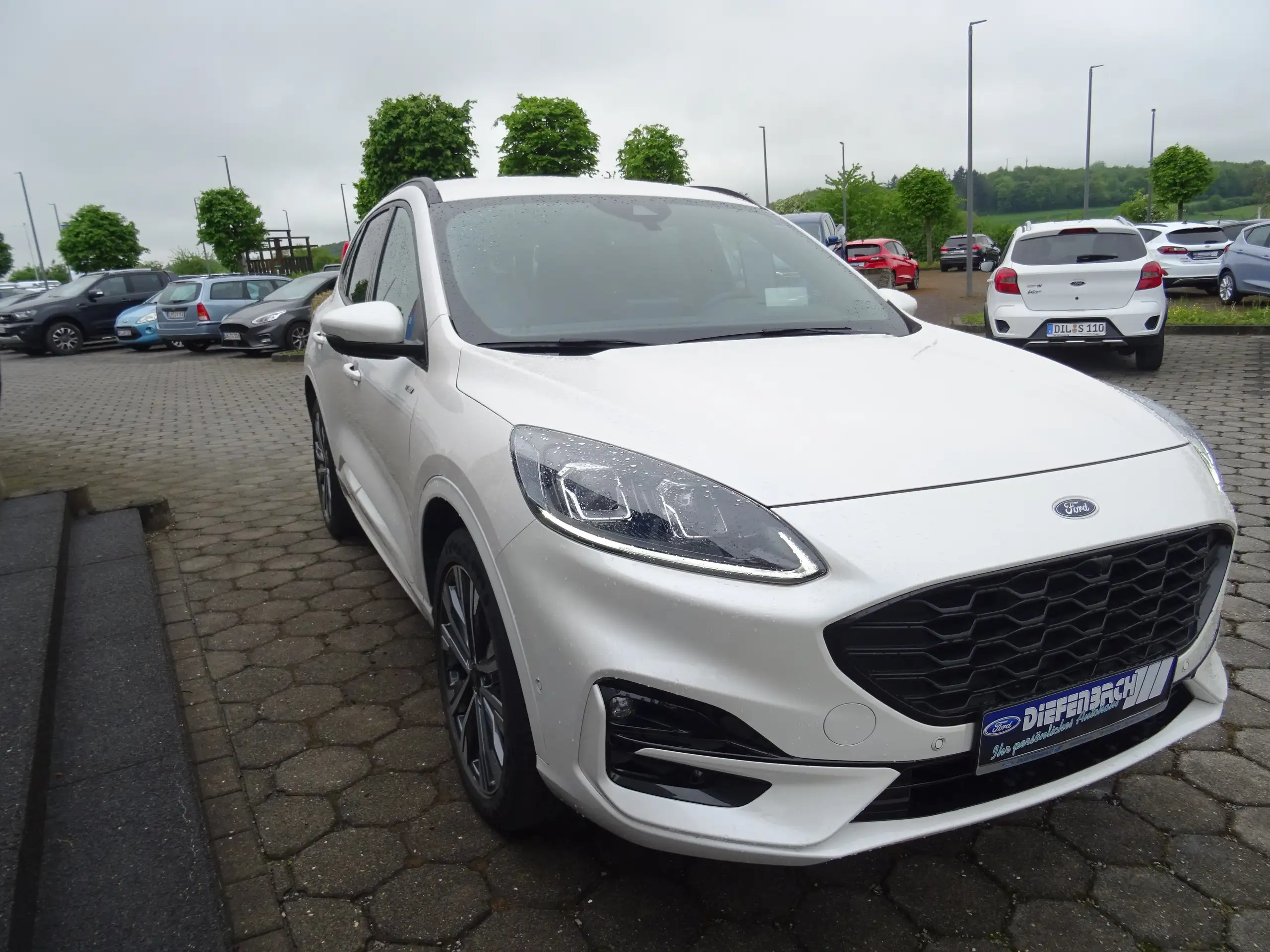 Ford - Kuga